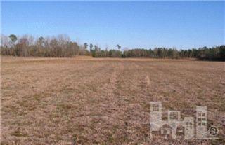 0 Dave Bright Road Turkey, NC 28393 - Photo 1 of 2 Primary Photo