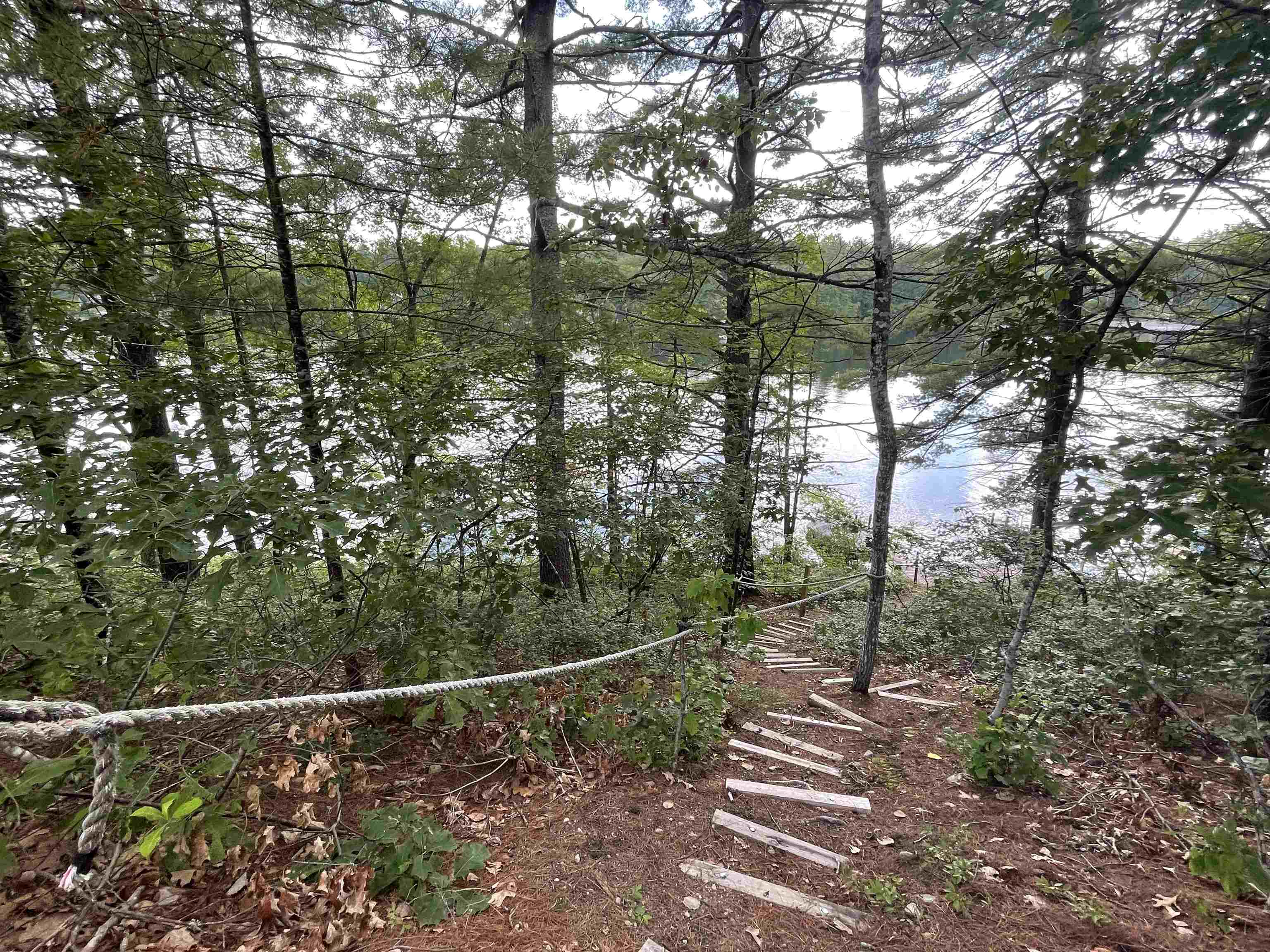 Lot 5 Cove Road East Wakefield, NH 03830 - Photo 3 of 10 Gallery Image 3