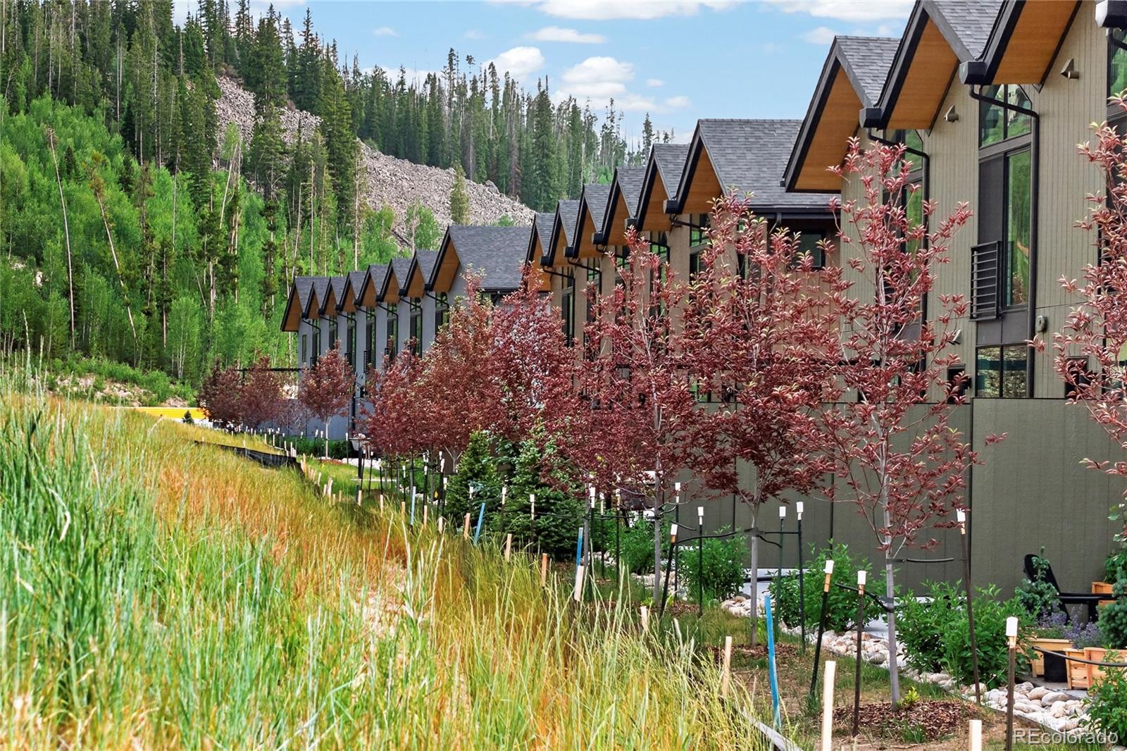 60 Wheeler Road Winter Park, CO 80482 - Photo 37 of 42 Gallery Image 37