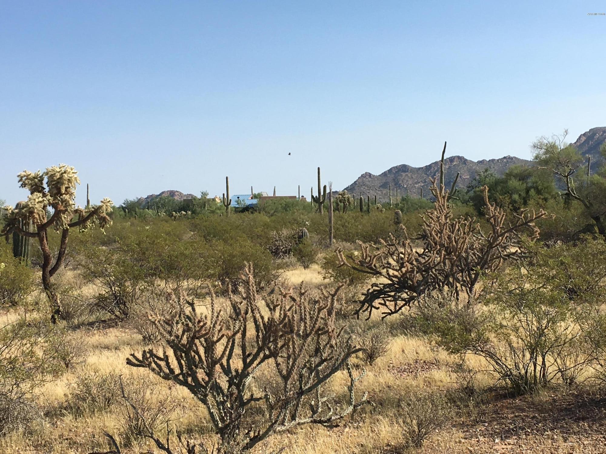 1650 North Sandario Road, Unit 3 Tucson, AZ 85743 - Photo 3 of 9