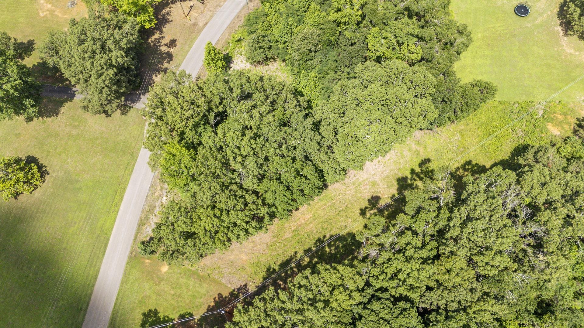 Xxx Oak Grove Road Savannah, TN 38372 - Photo 8 of 29