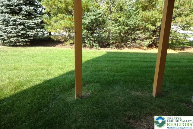 a picture of flowers