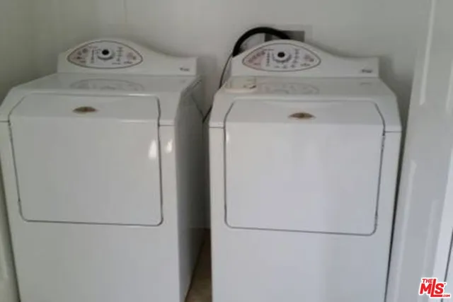 a view of a garden with plants