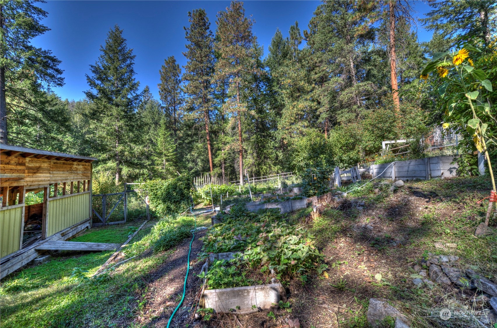 176 Libby Creek Road Carlton, WA 98814 - Photo 28 of 40 Gallery Image 28
