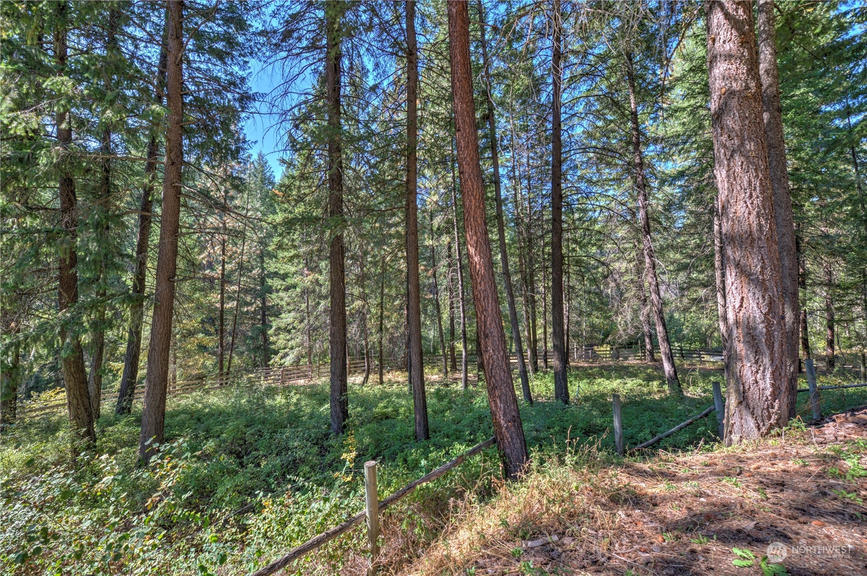 176 Libby Creek Road Carlton, WA 98814 - Photo 30 of 40 Gallery Image 30