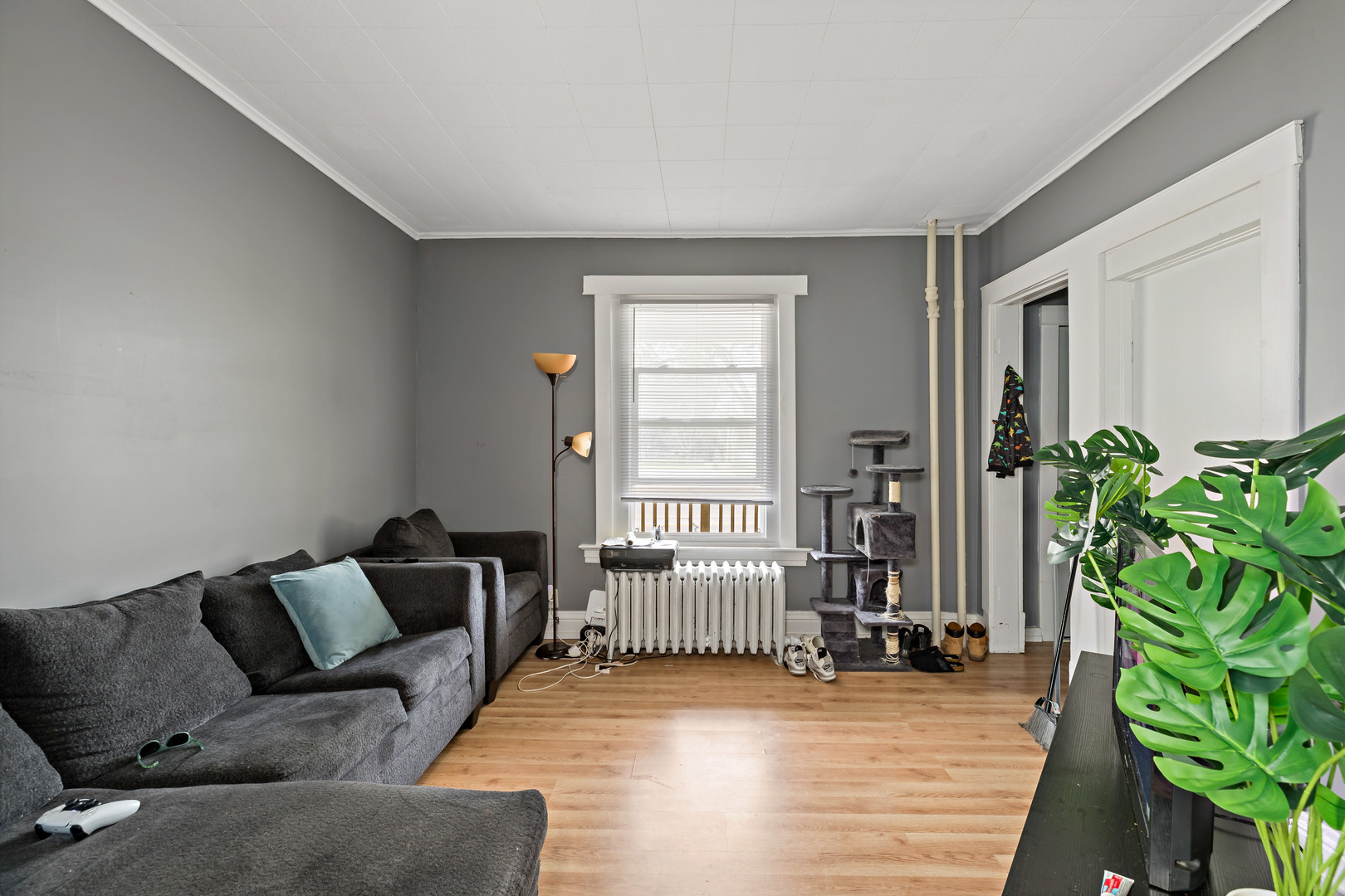 3441 Chicago Road Steger, IL 60475 - Photo 21 of 28 a living room with furniture and a potted plant