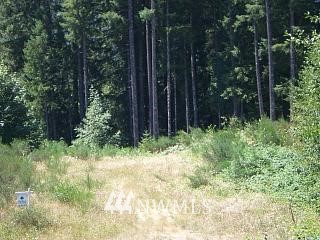 100 Bald Eagle Road Ariel, WA 98603 - Photo 1 of 1 Gallery Image 1
