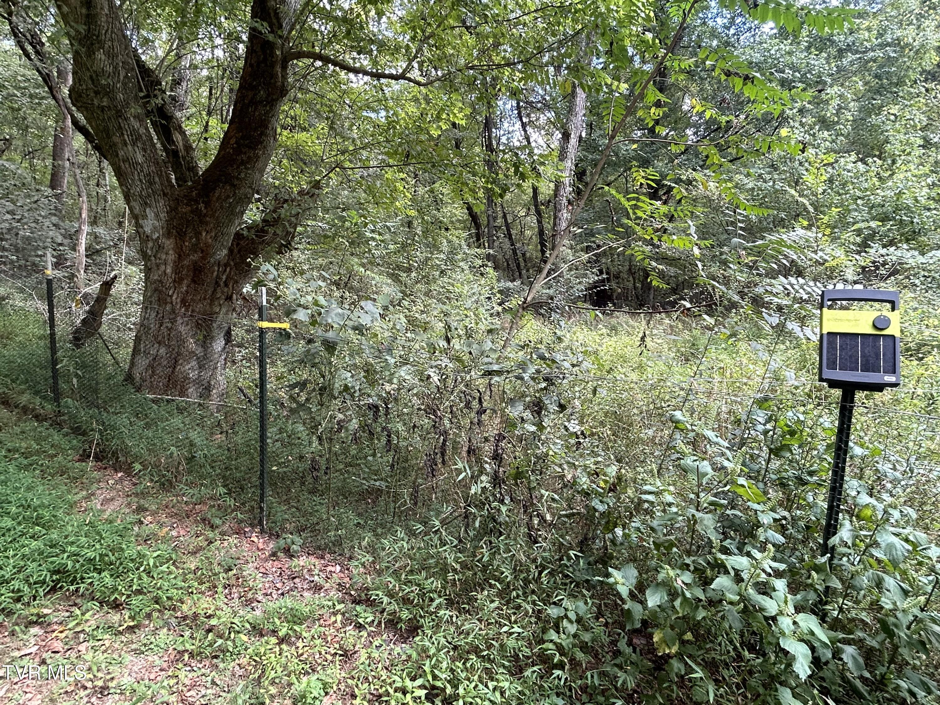 1300 Fish Hatchery Road Mohawk, TN 37810 - Photo 15 of 96 IMG_7566