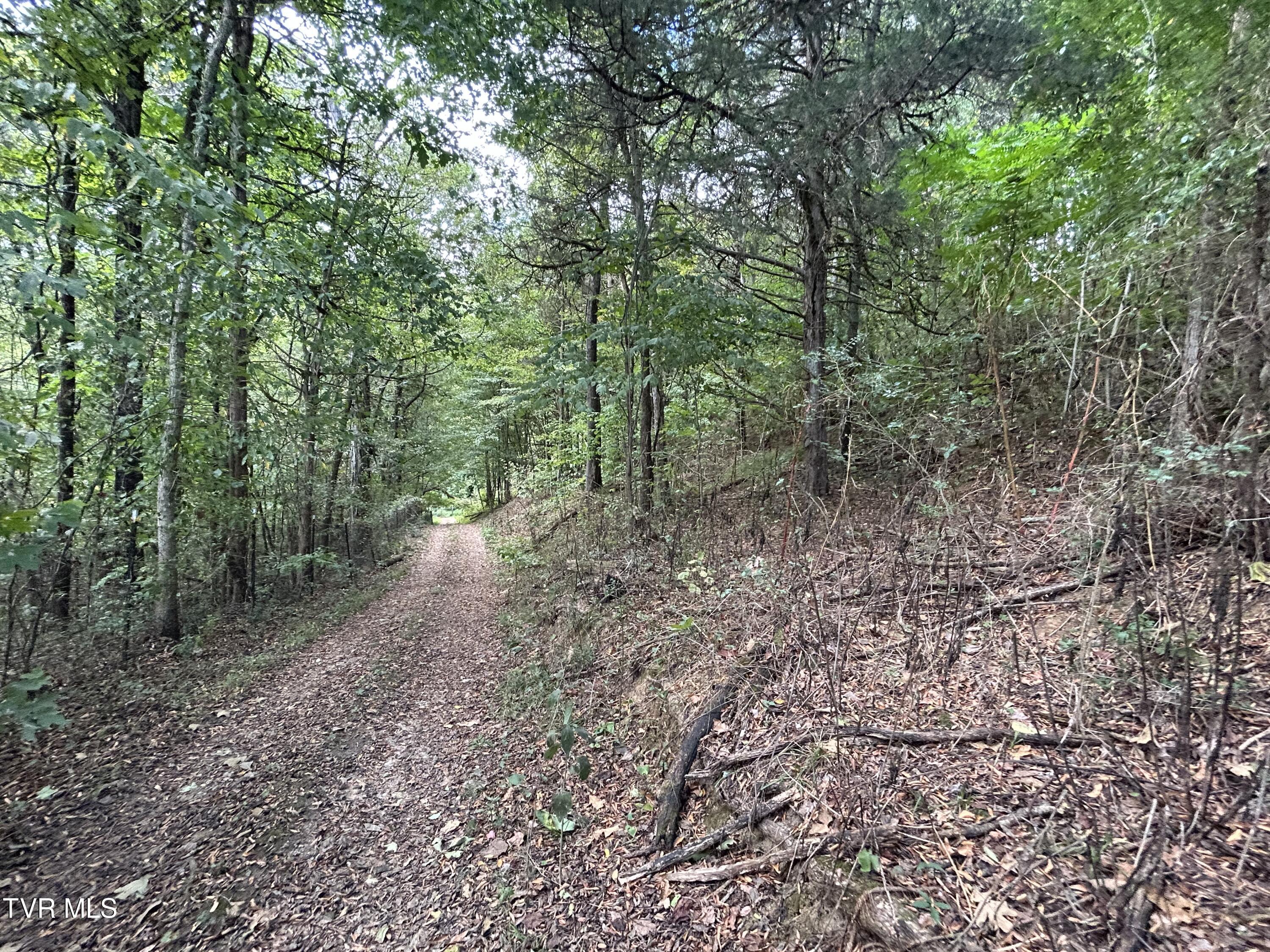 1300 Fish Hatchery Road Mohawk, TN 37810 - Photo 16 of 96 IMG_7542