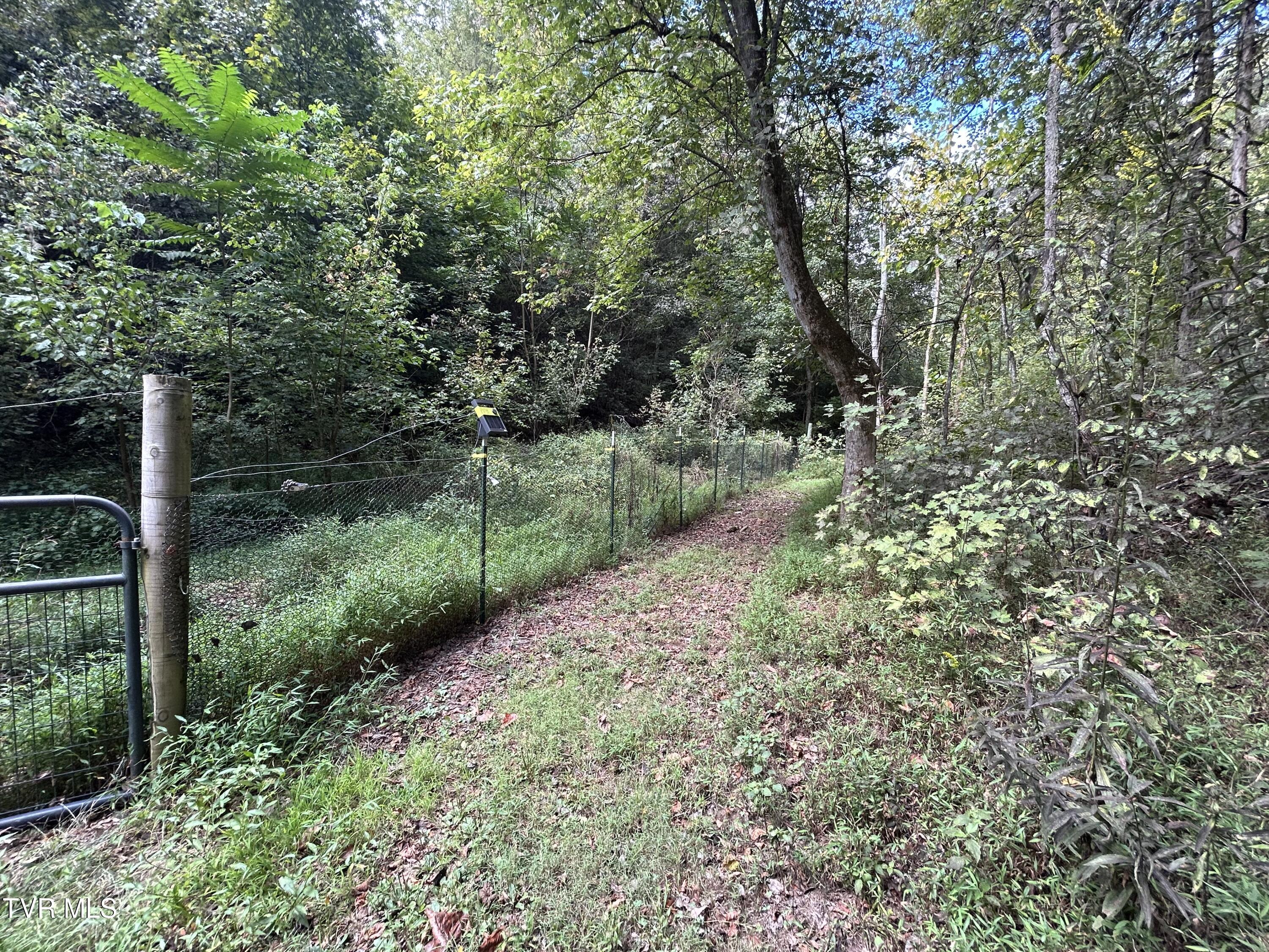 1300 Fish Hatchery Road Mohawk, TN 37810 - Photo 17 of 96 IMG_7543