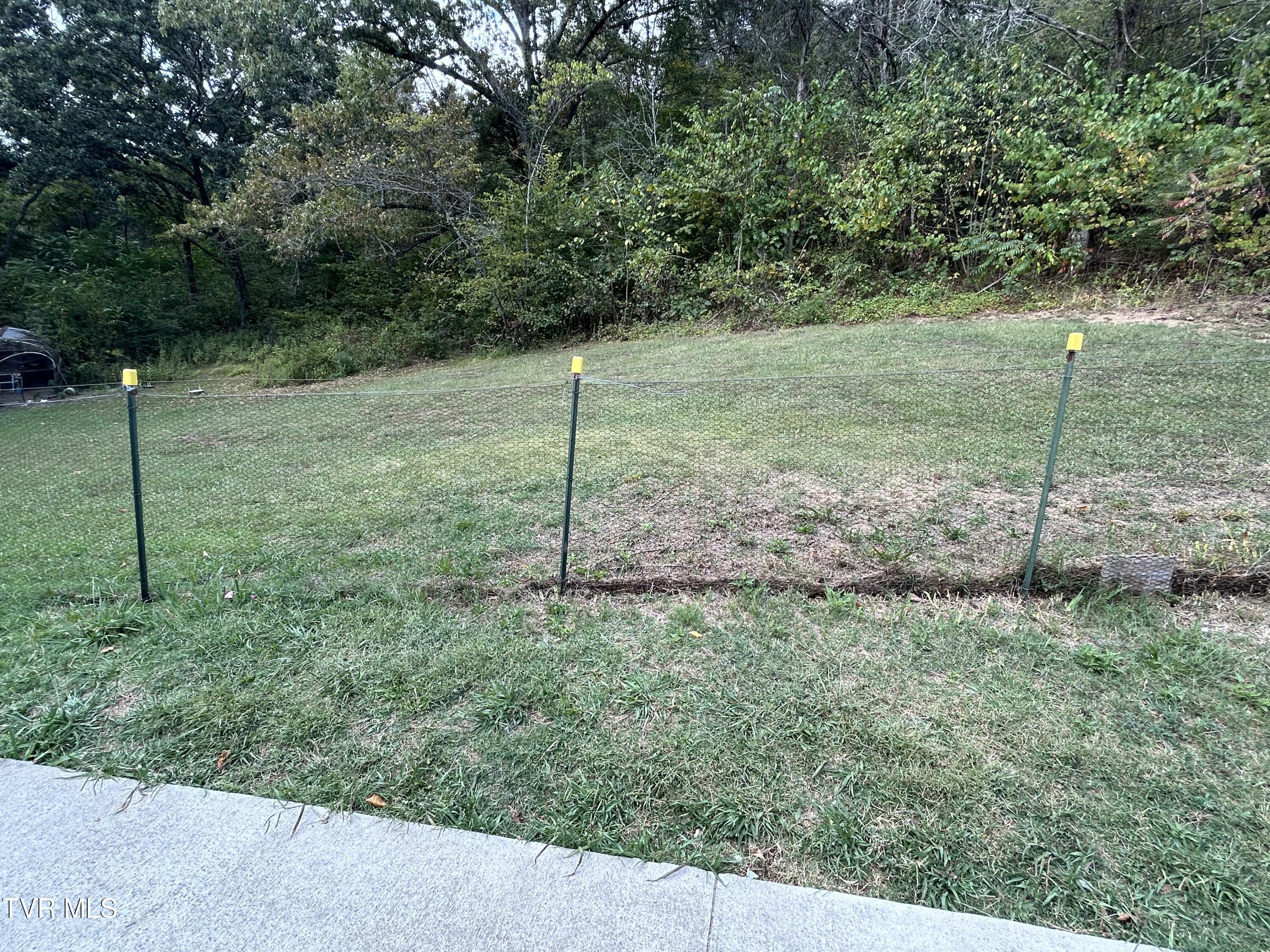 1300 Fish Hatchery Road Mohawk, TN 37810 - Photo 18 of 96 IMG_7538