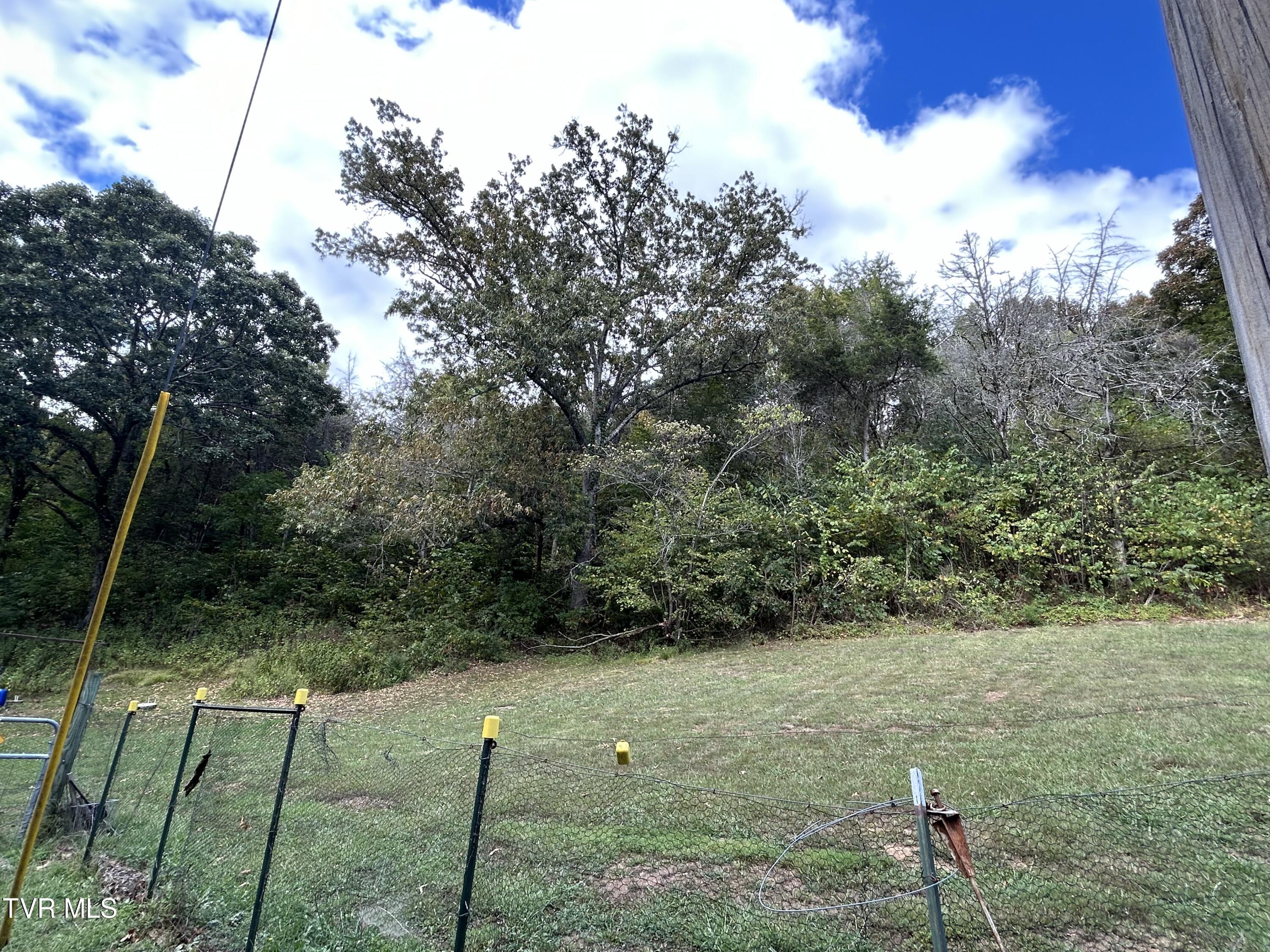 1300 Fish Hatchery Road Mohawk, TN 37810 - Photo 19 of 96 IMG_7539