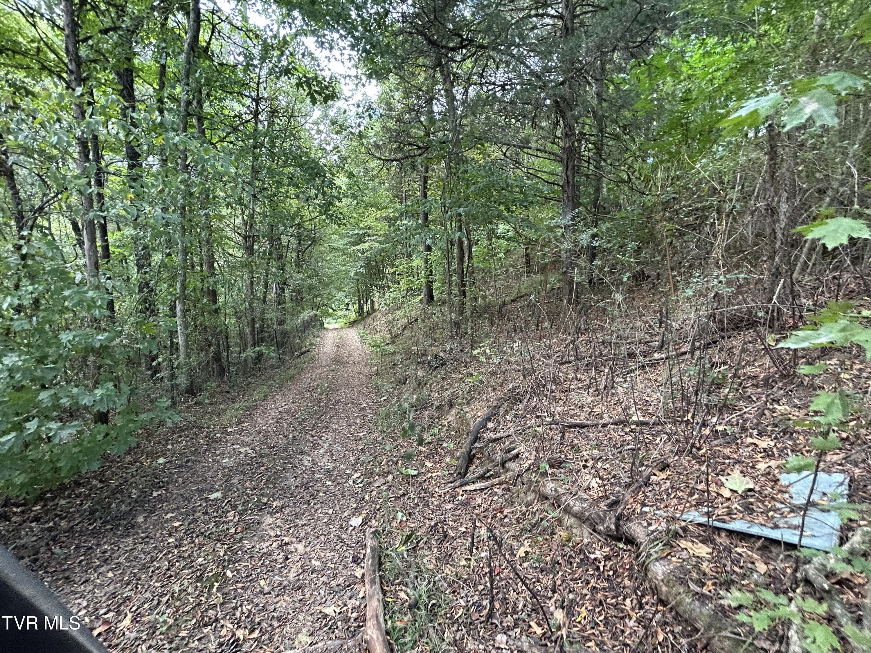 1300 Fish Hatchery Road Mohawk, TN 37810 - Photo 20 of 96 IMG_7541