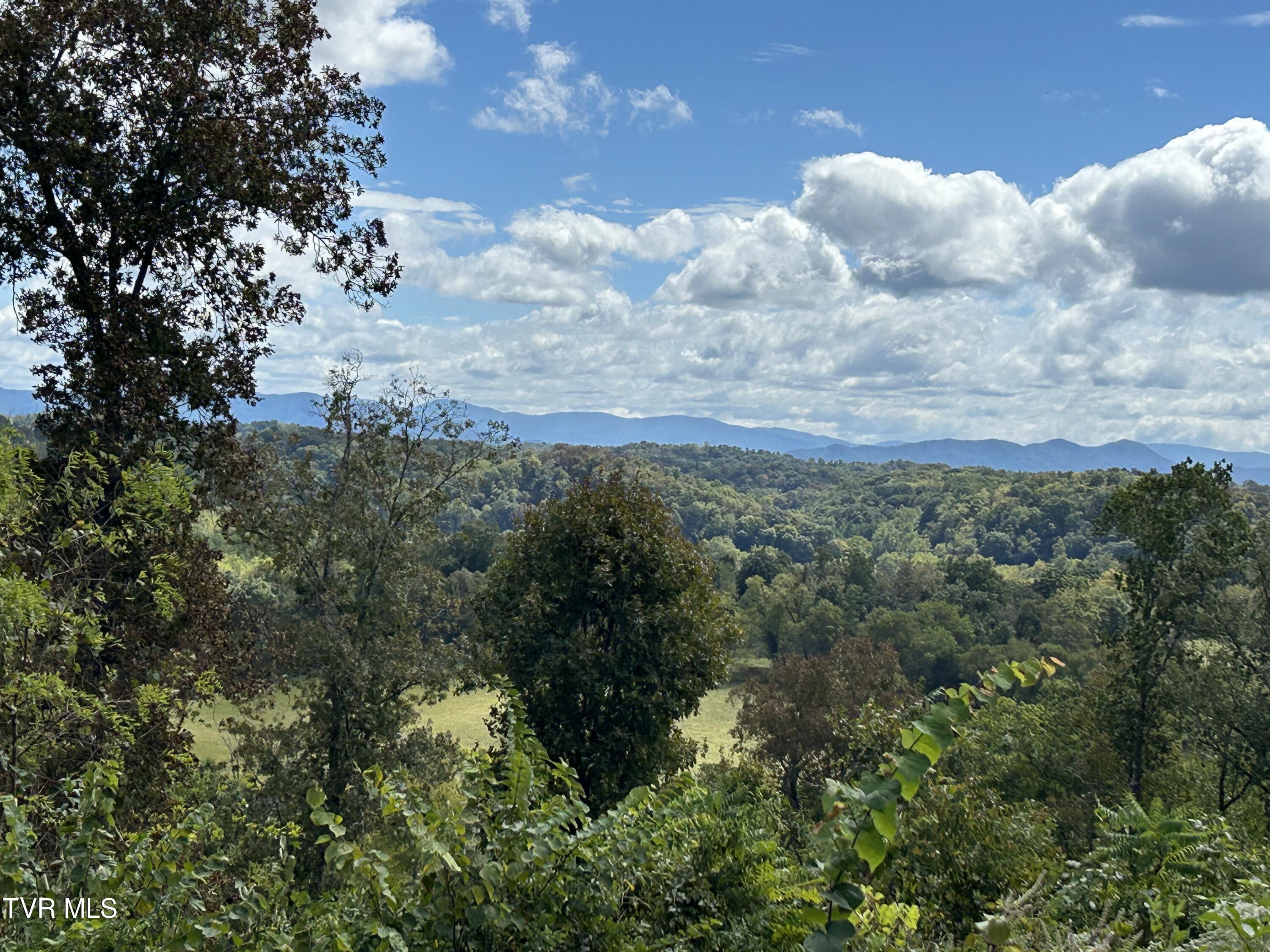 1300 Fish Hatchery Road Mohawk, TN 37810 - Photo 21 of 96 IMG_7559