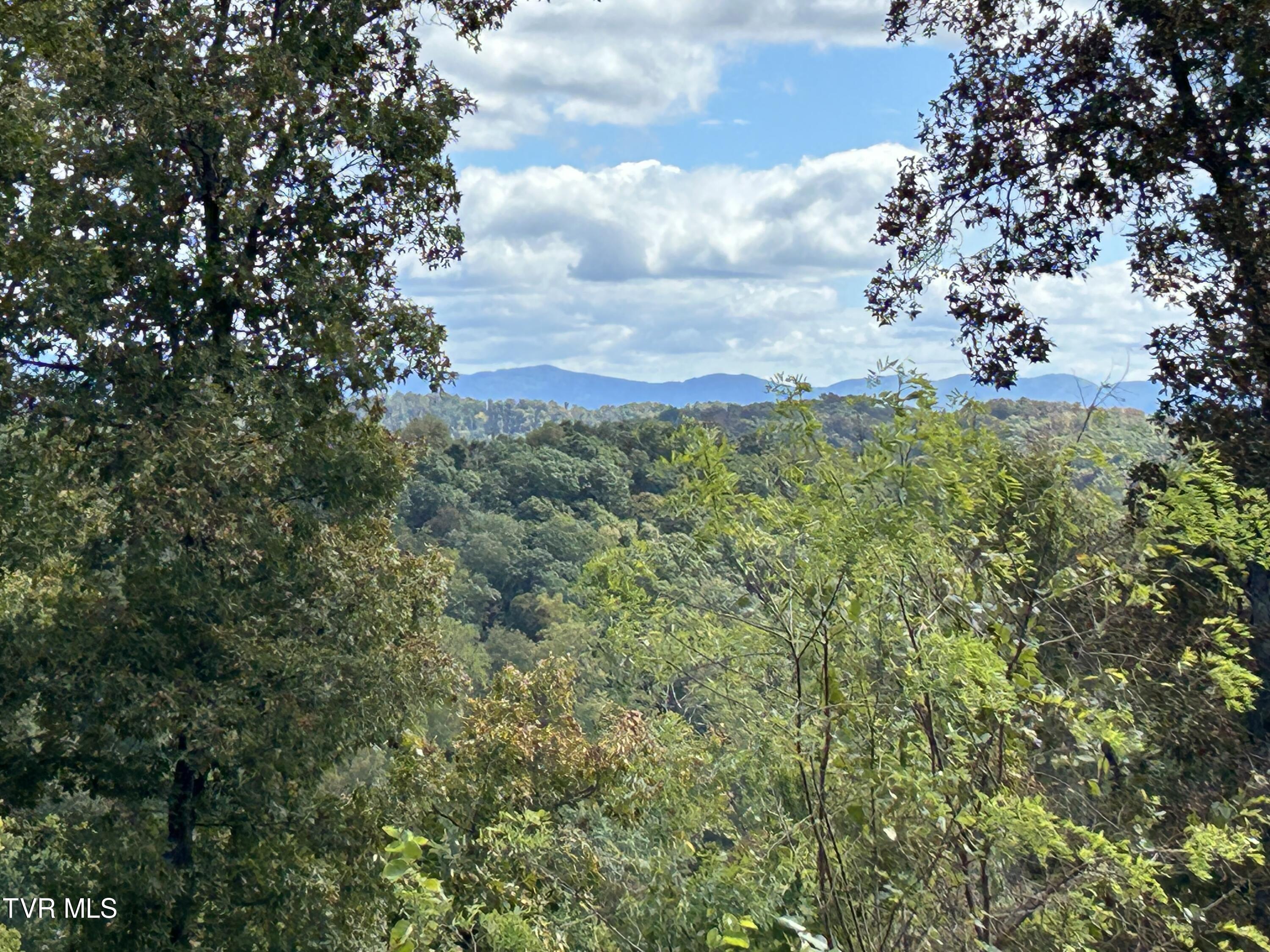 1300 Fish Hatchery Road Mohawk, TN 37810 - Photo 28 of 96 IMG_7551