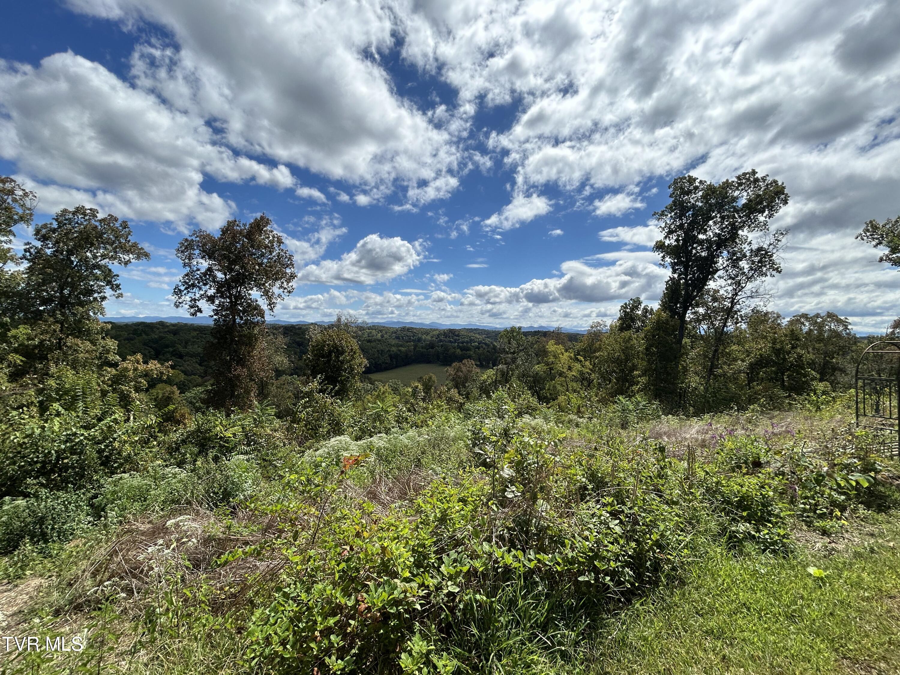 1300 Fish Hatchery Road Mohawk, TN 37810 - Photo 30 of 96 IMG_7546