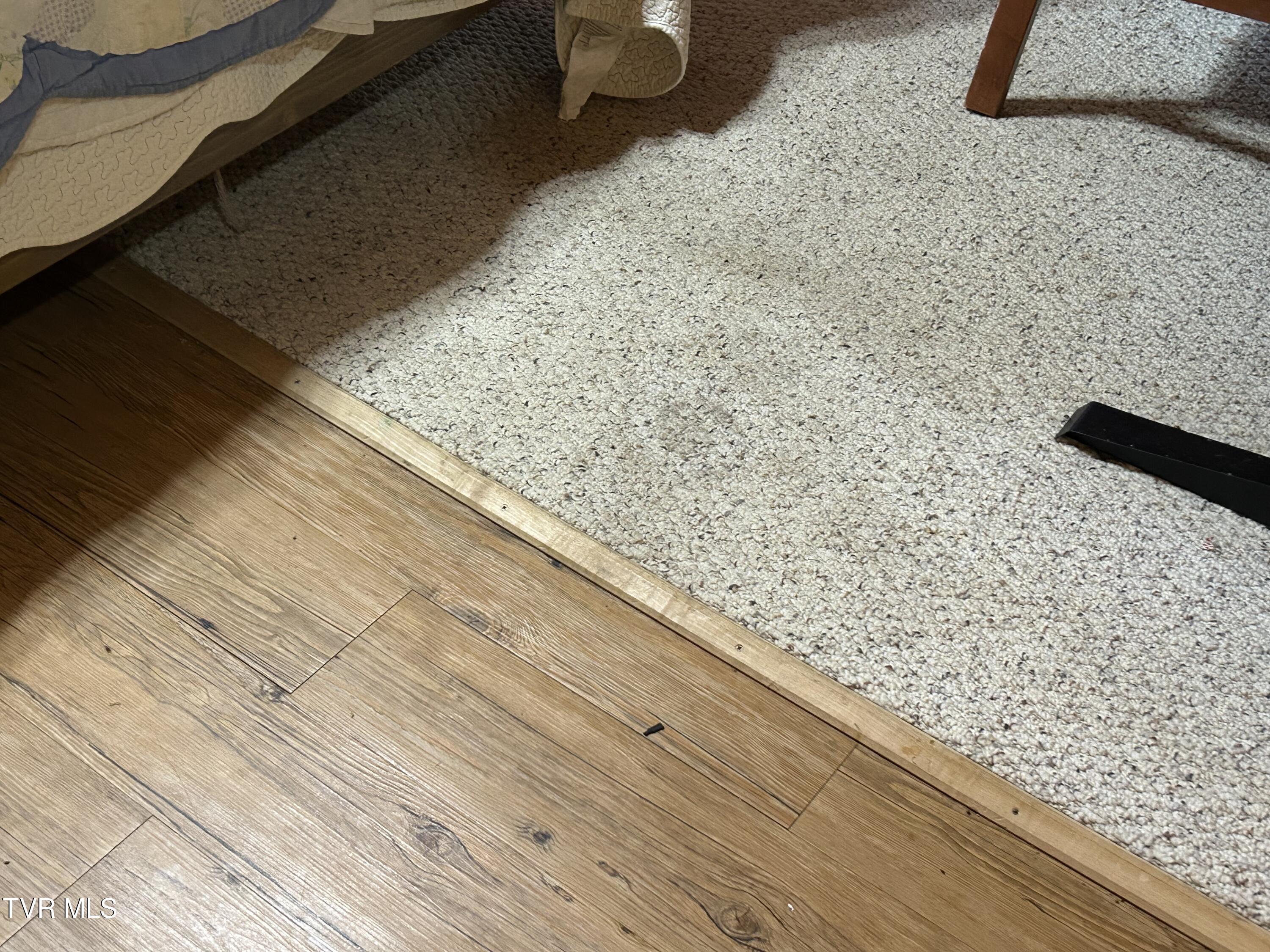 1300 Fish Hatchery Road Mohawk, TN 37810 - Photo 57 of 96 IMG_7943