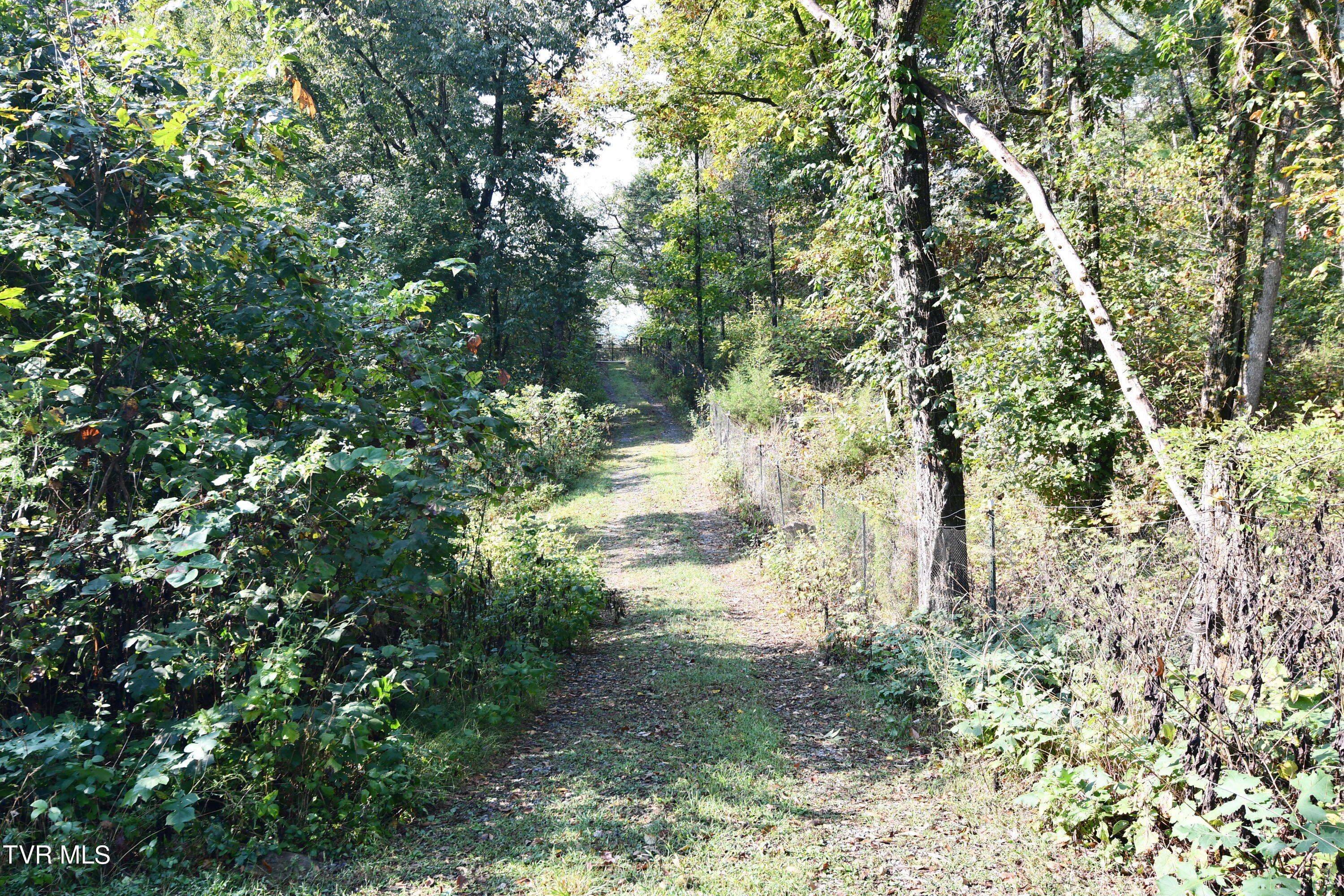 1300 Fish Hatchery Road Mohawk, TN 37810 - Photo 79 of 96 DSC_0626
