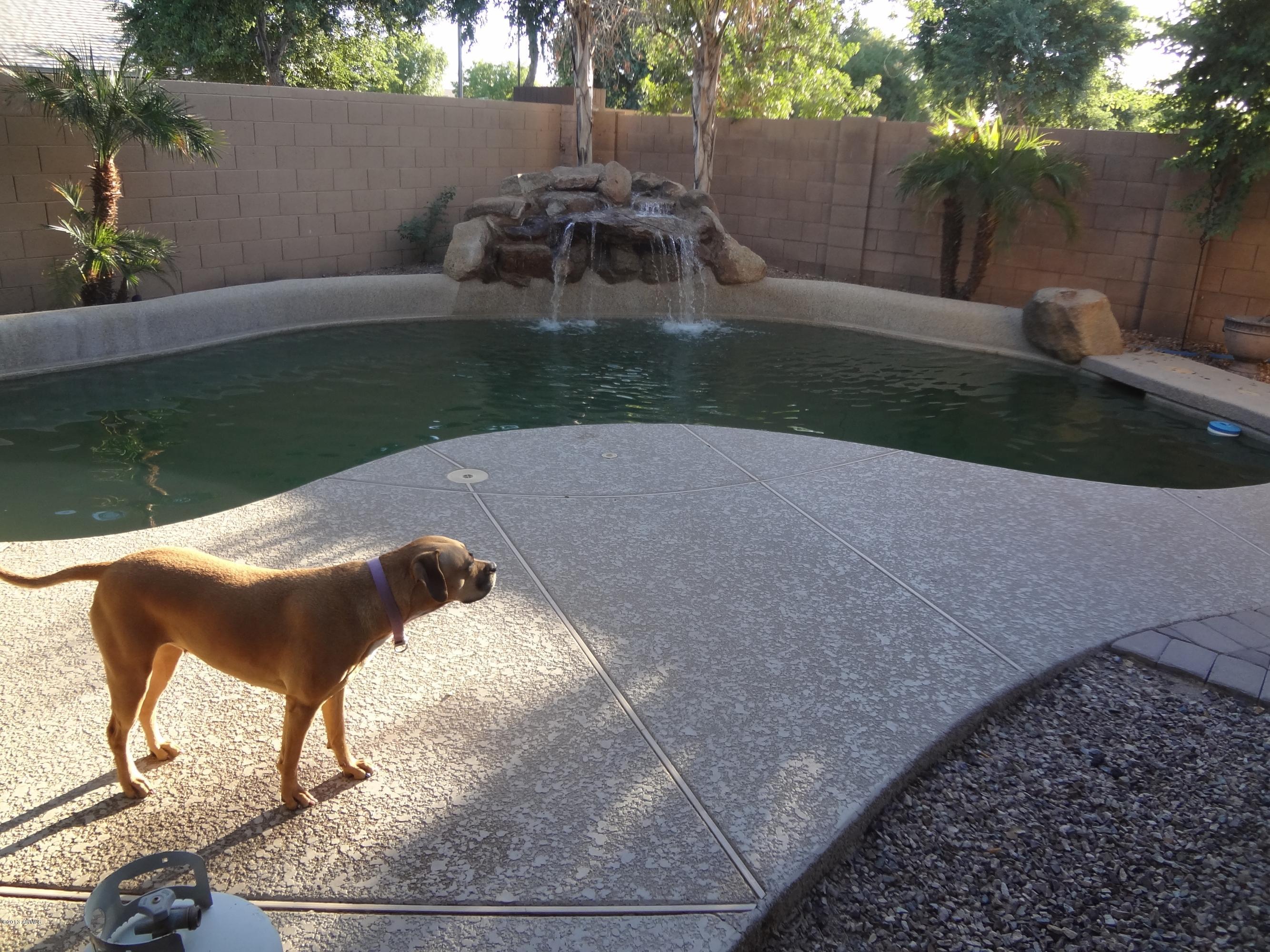 3399 East Kimball Road Gilbert, AZ 85297 - Photo 28 of 34 Pool