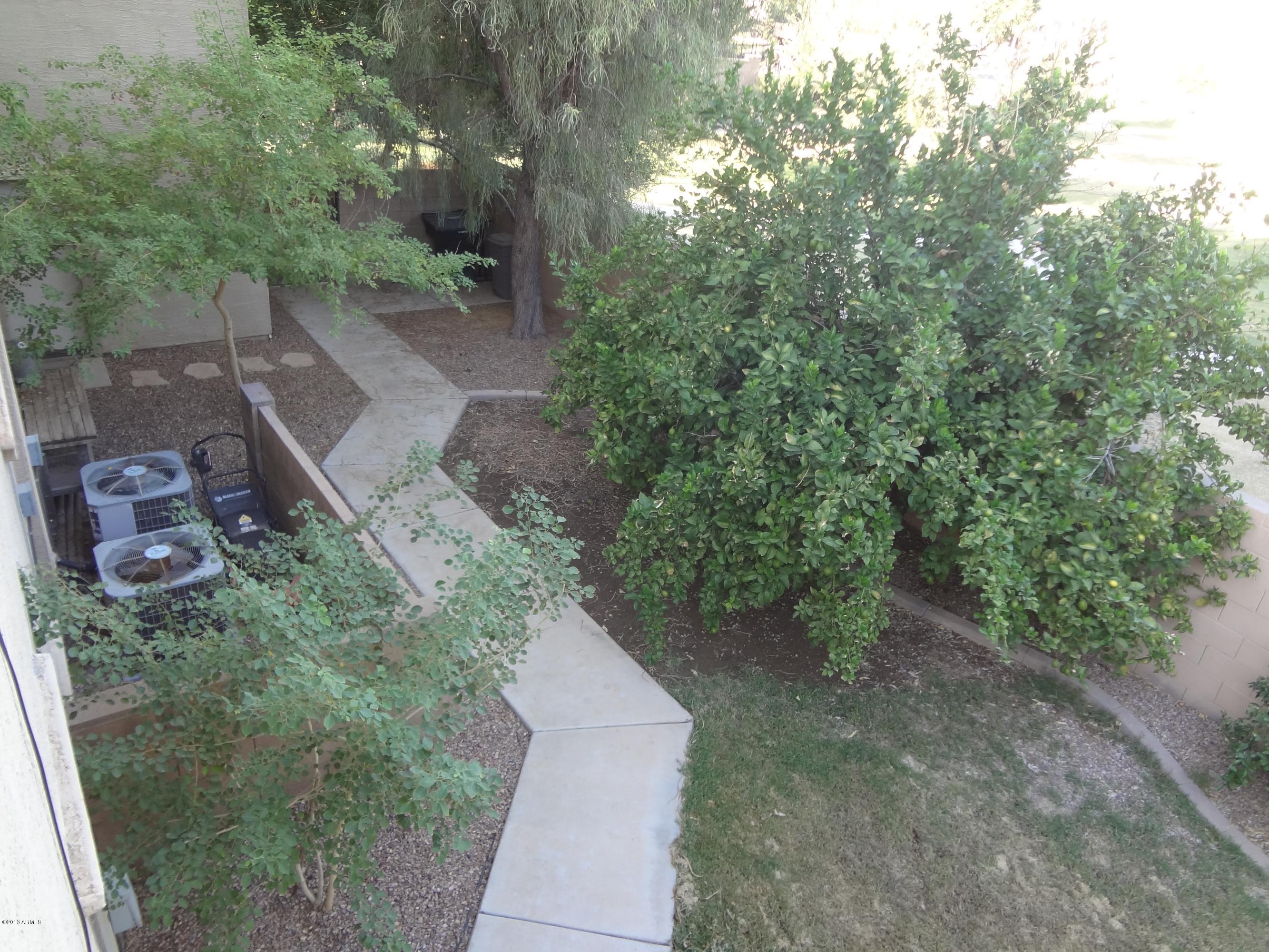 3399 East Kimball Road Gilbert, AZ 85297 - Photo 32 of 34 Side yard