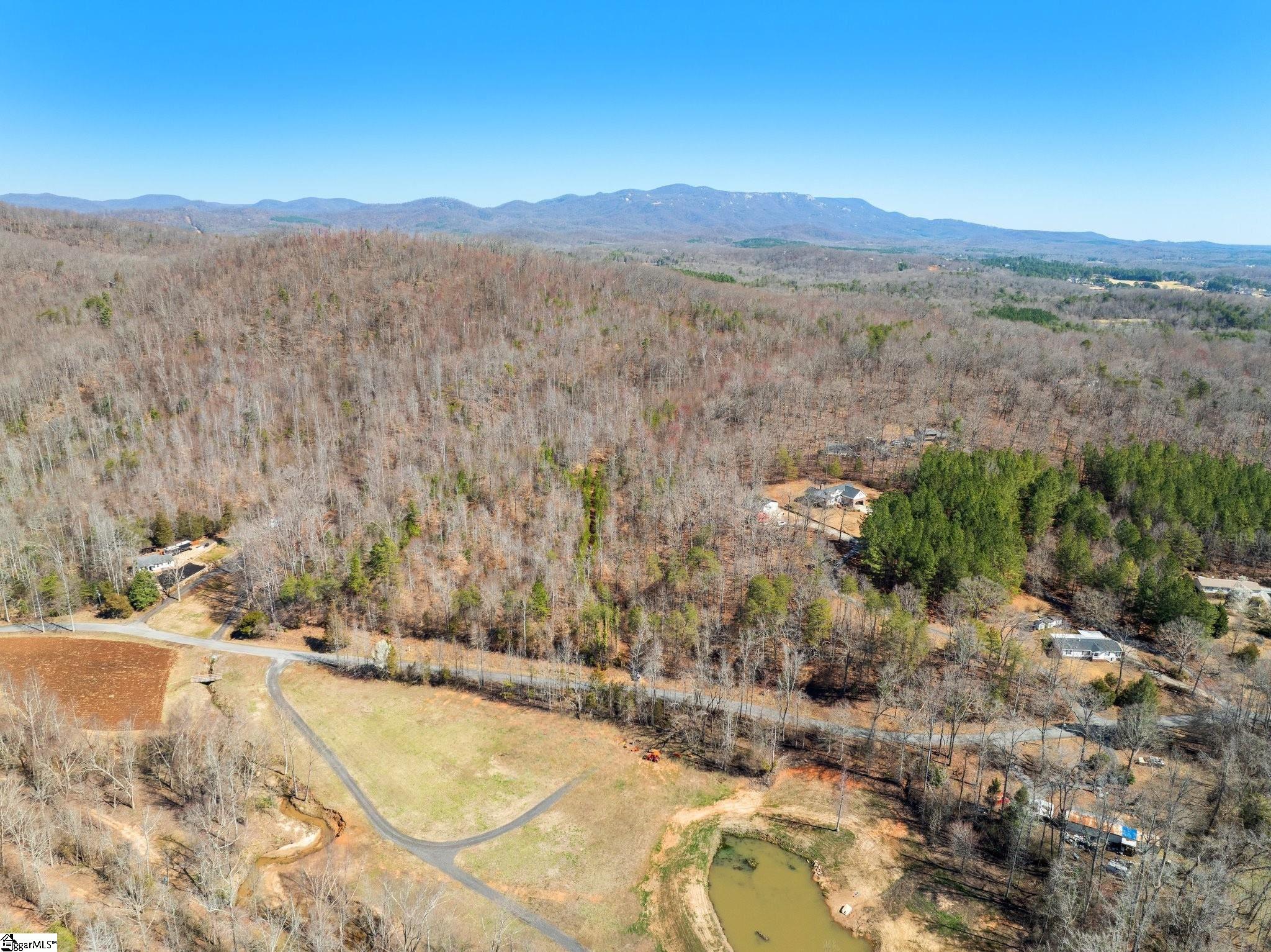 0 Burns Road Travelers Rest, SC 29690 - Photo 7 of 14