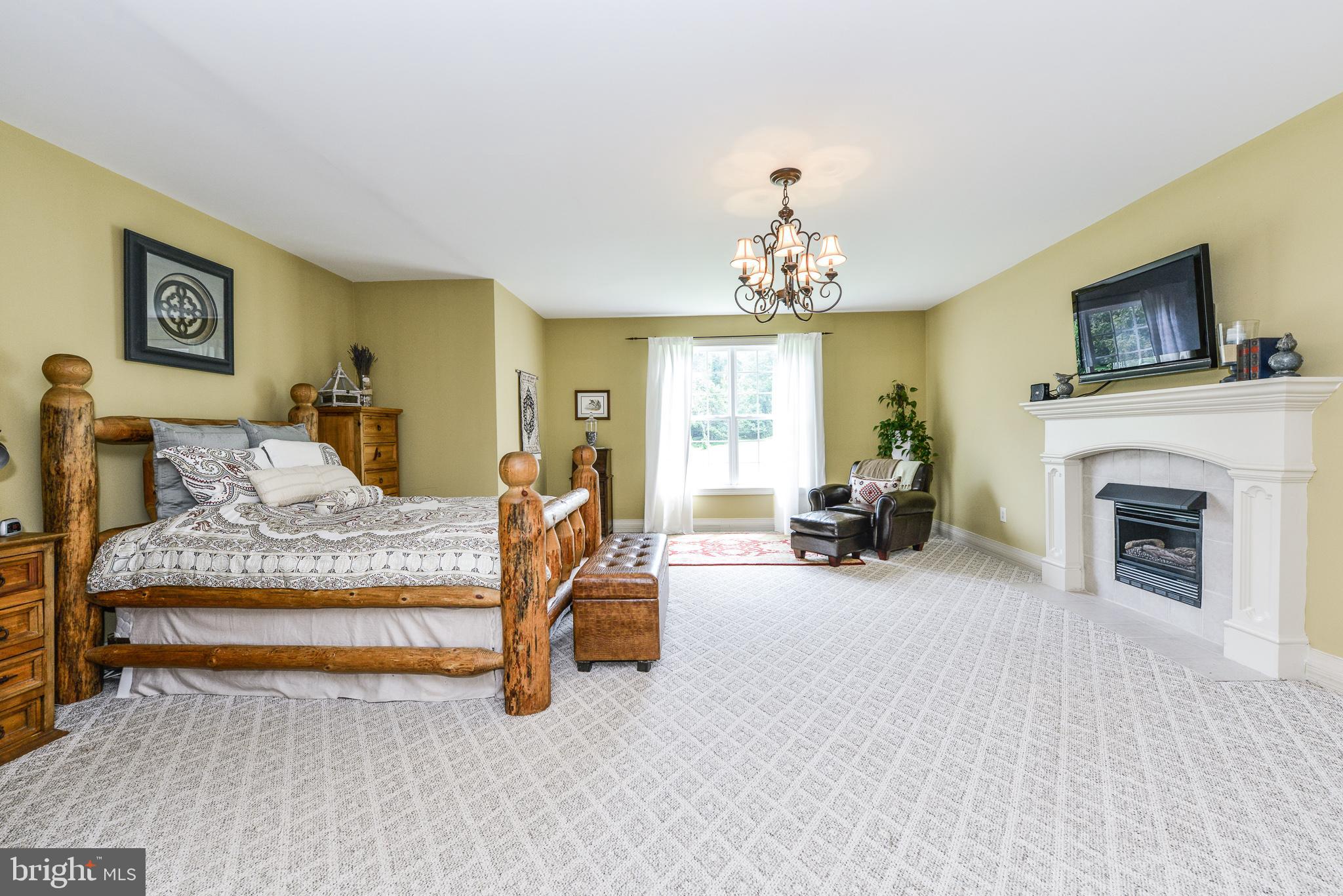 22023 Blue Ridge Mountain Road Paris, VA 20130 - Photo 18 of 67 First Floor Master with fireplace