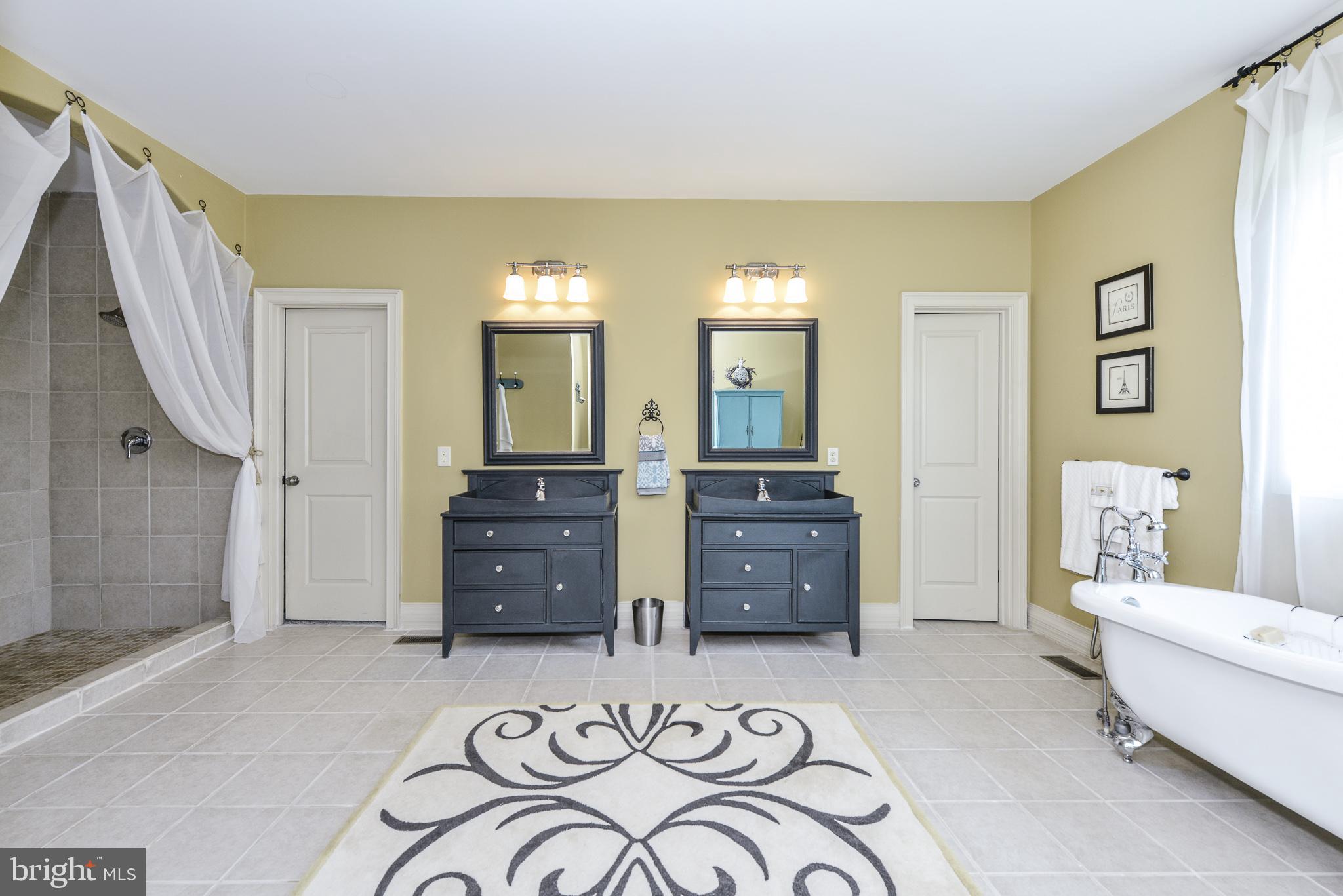 22023 Blue Ridge Mountain Road Paris, VA 20130 - Photo 21 of 67 Master Bath