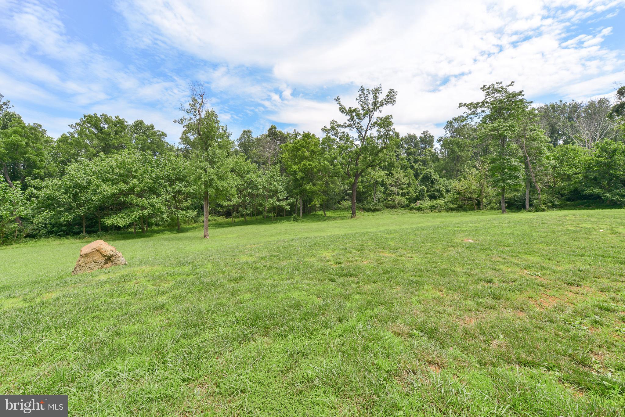 22023 Blue Ridge Mountain Road Paris, VA 20130 - Photo 60 of 67 Back Yard