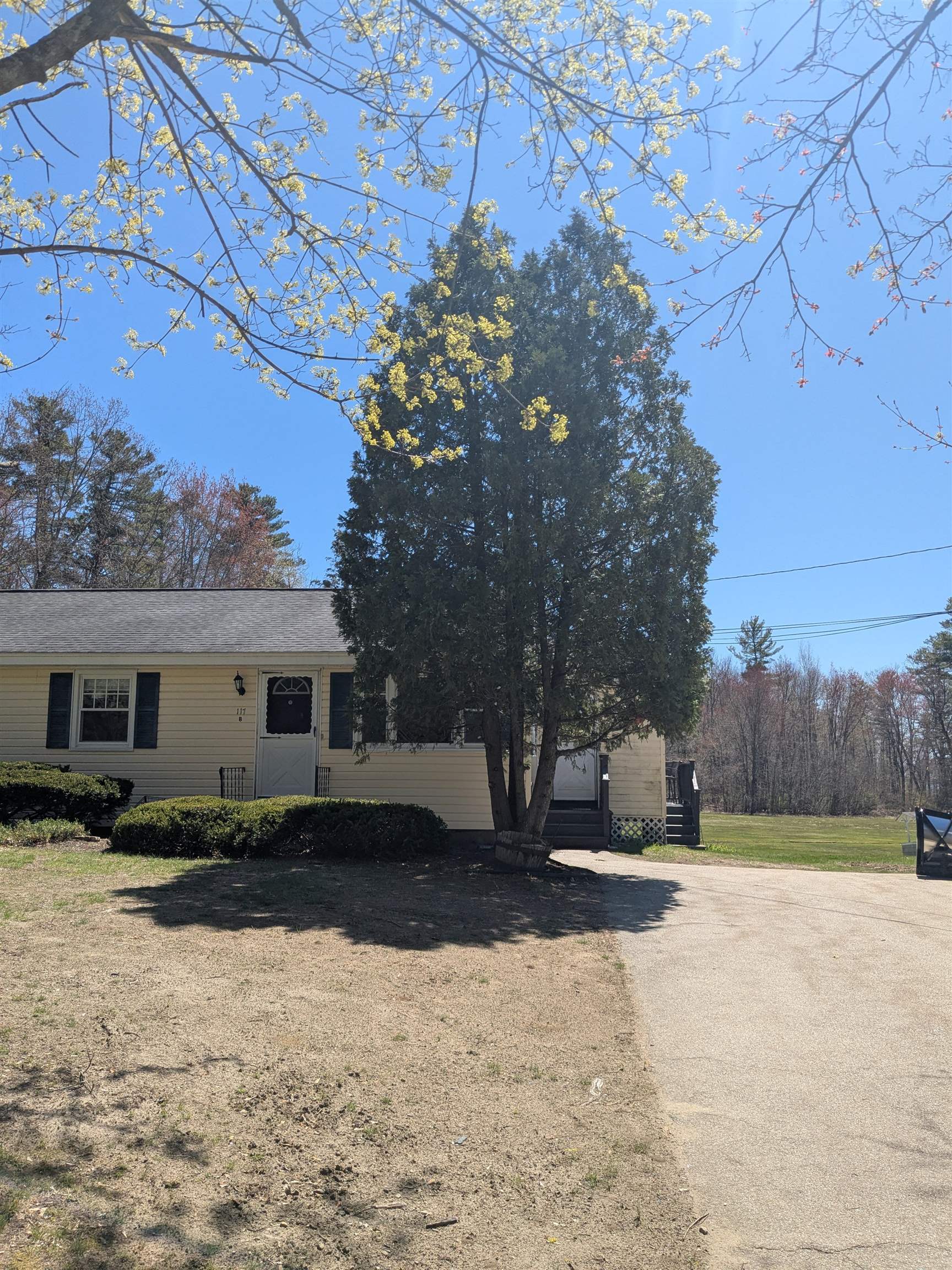 117 Sherburne Road, Unit B Pelham, NH 03076 - Photo 14 of 16