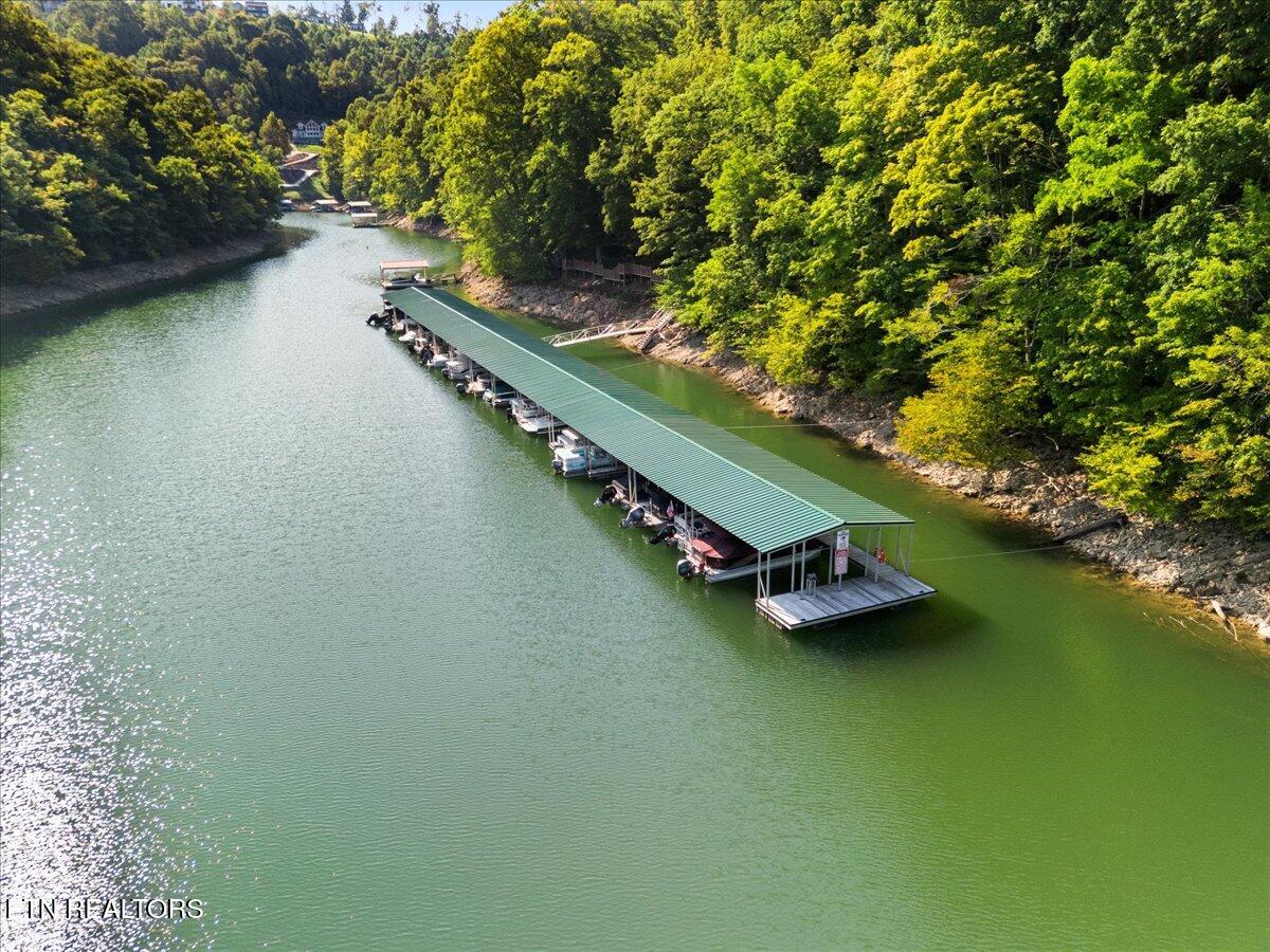 449 Hickory Point Lane Maynardville, TN 37807 - Photo 51 of 58 48-Marina