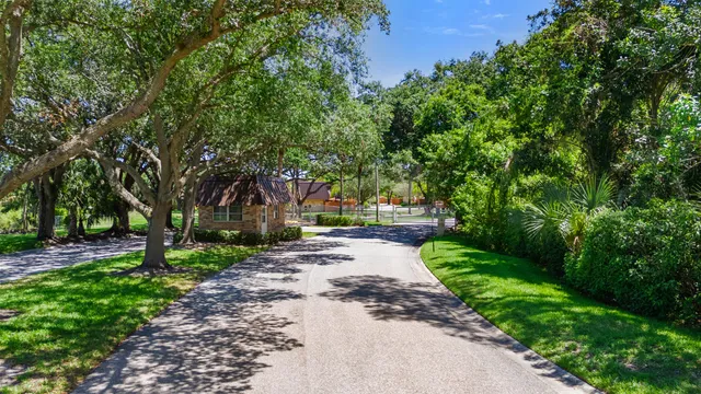 a view of a park with tree s