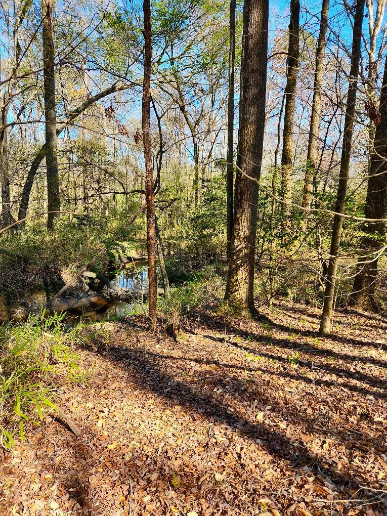 0 Hawley Road Kenly, NC 27542 - Photo 1 of 24 Photo 1