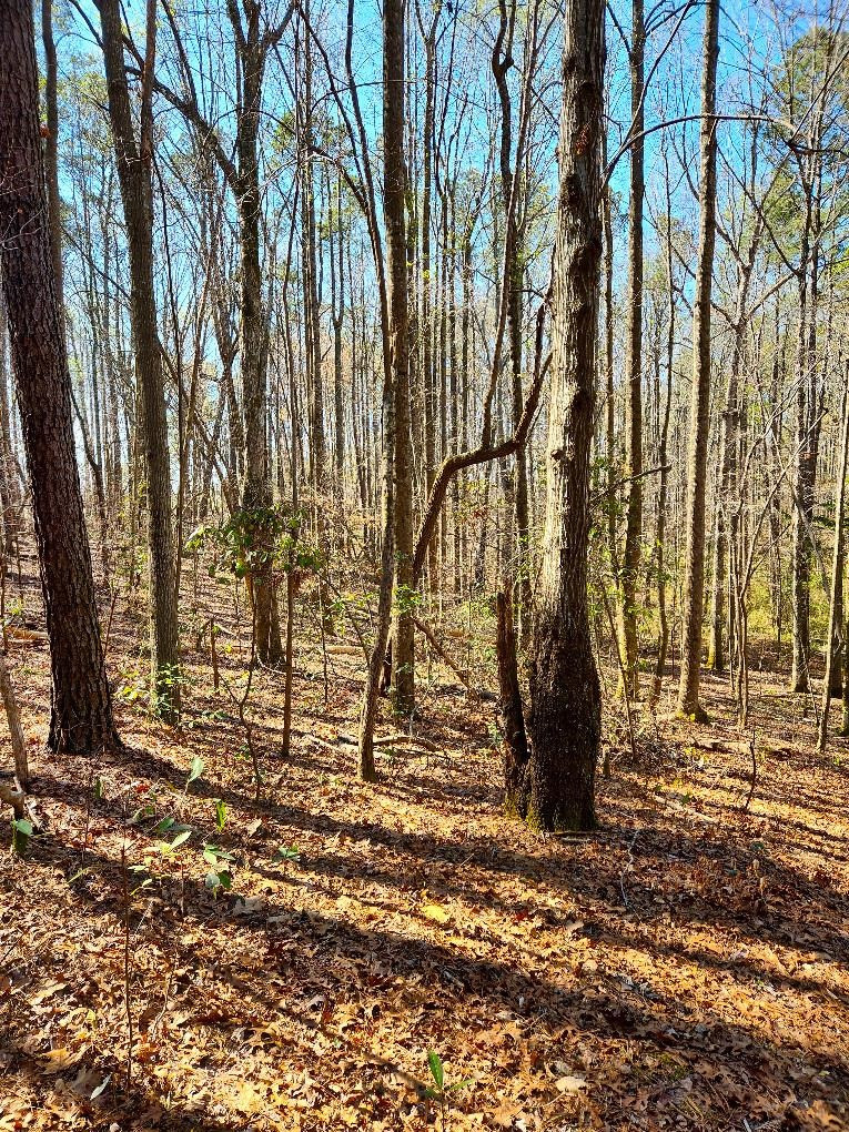 0 Hawley Road Kenly, NC 27542 - Photo 18 of 24 Photo 18