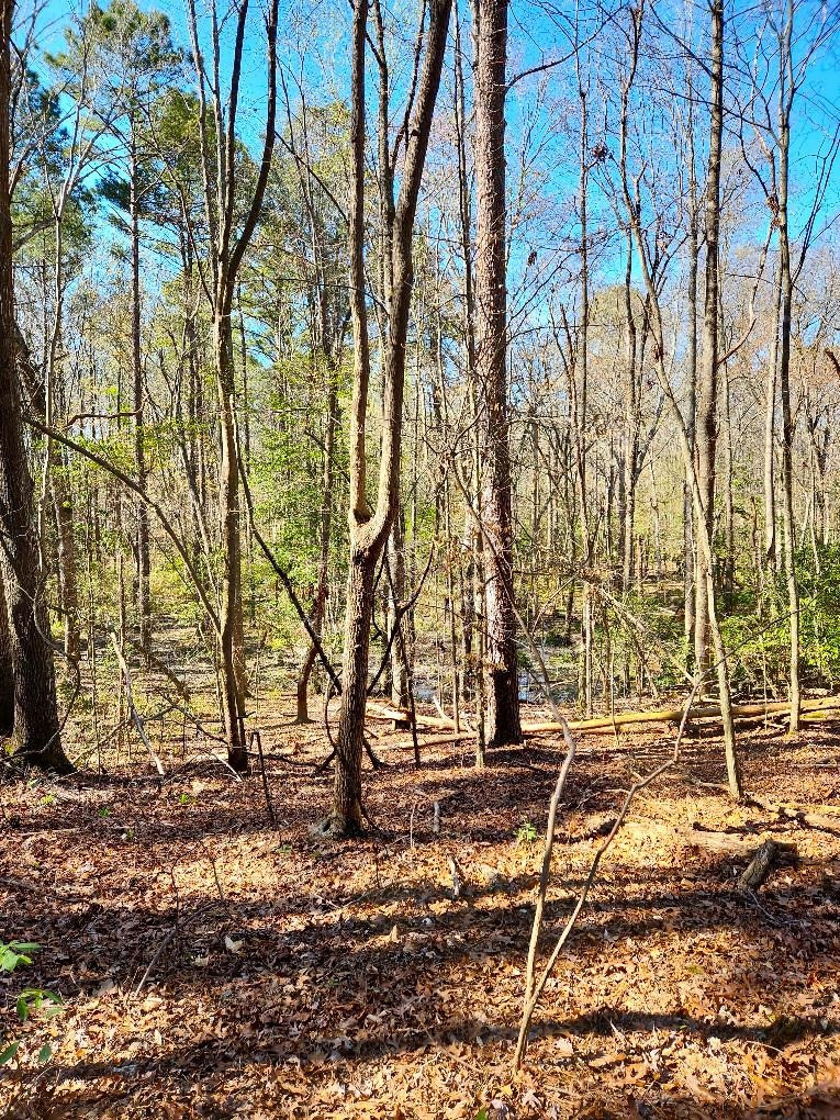 0 Hawley Road Kenly, NC 27542 - Photo 19 of 24 Photo 19