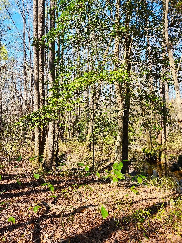 0 Hawley Road Kenly, NC 27542 - Photo 21 of 24 Photo 21