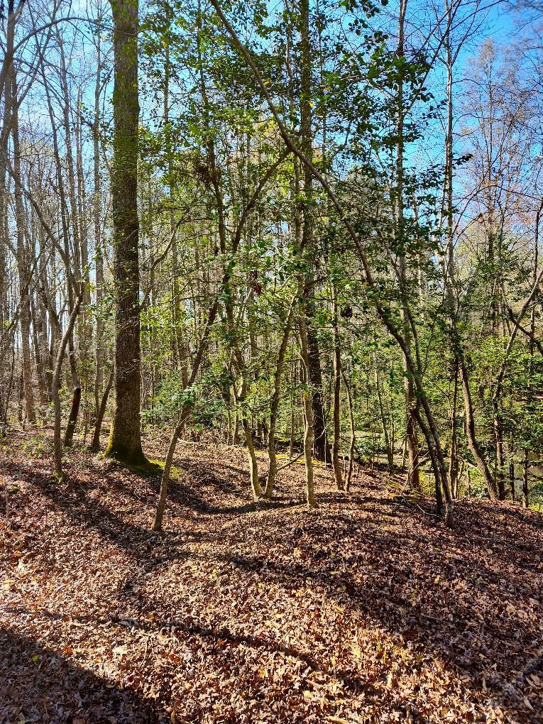 0 Hawley Road Kenly, NC 27542 - Photo 10 of 24 Photo 10