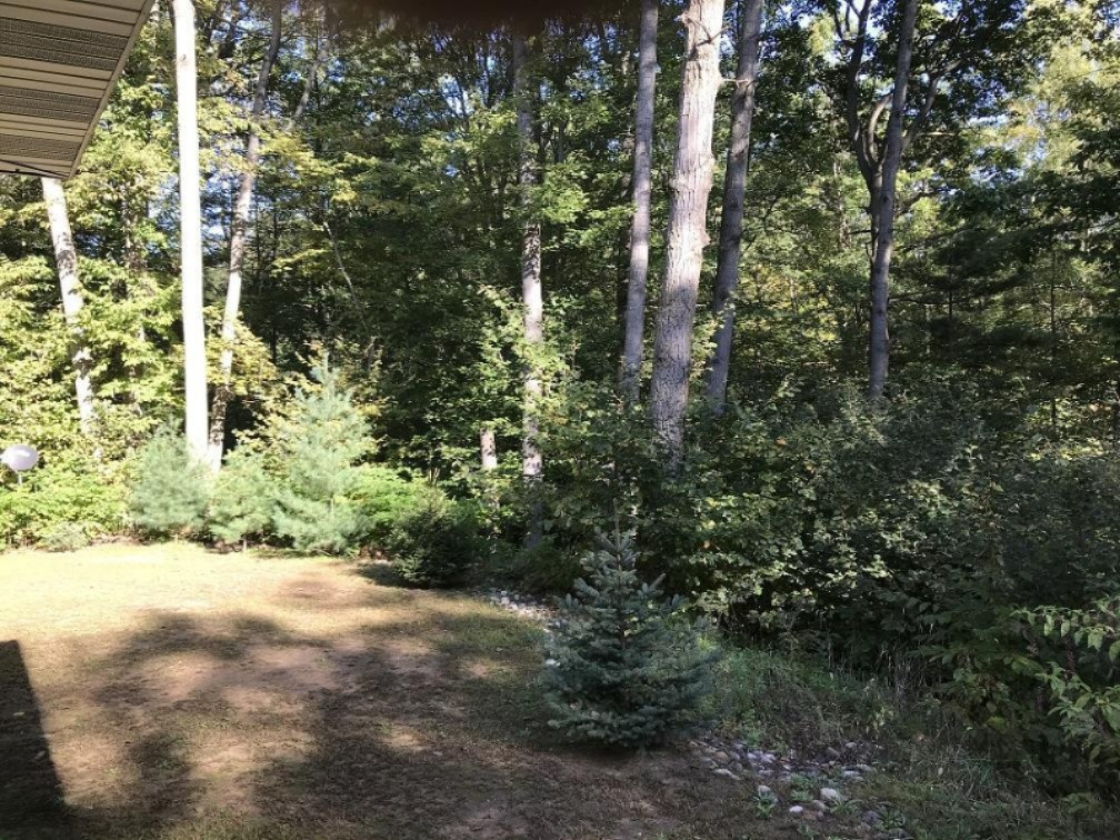 7527 Homer Lake Road Hesperia, MI 49421 - Photo 23 of 42 Gallery Image 23