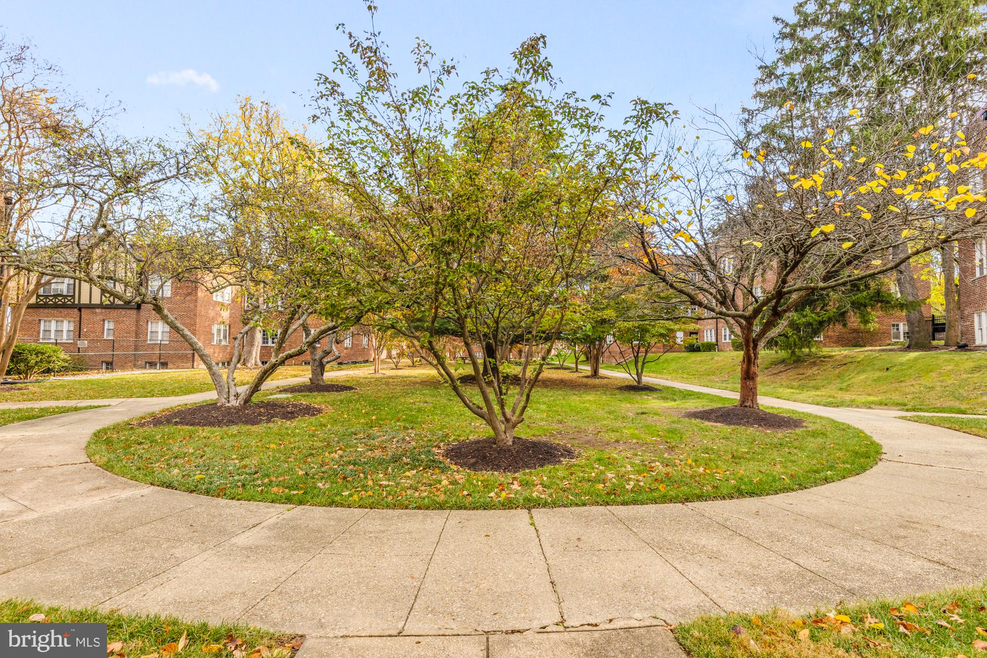 4915 3rd Street Northwest, Unit 102 Washington, DC 20011 - Photo 22 of 22
