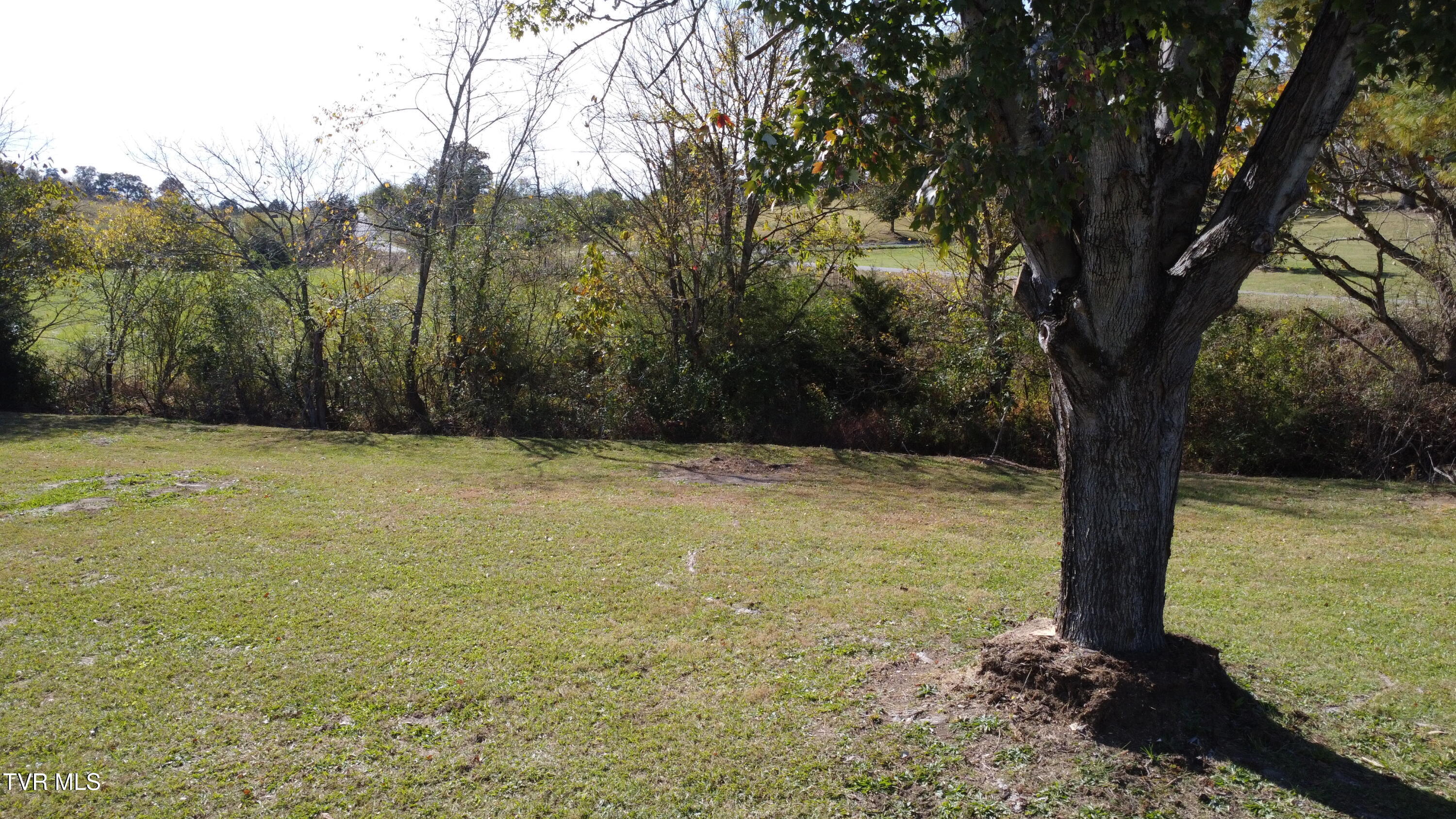 1183 Webster Valley Road Rogersville, TN 37857 - Photo 45 of 73 DJI_0300