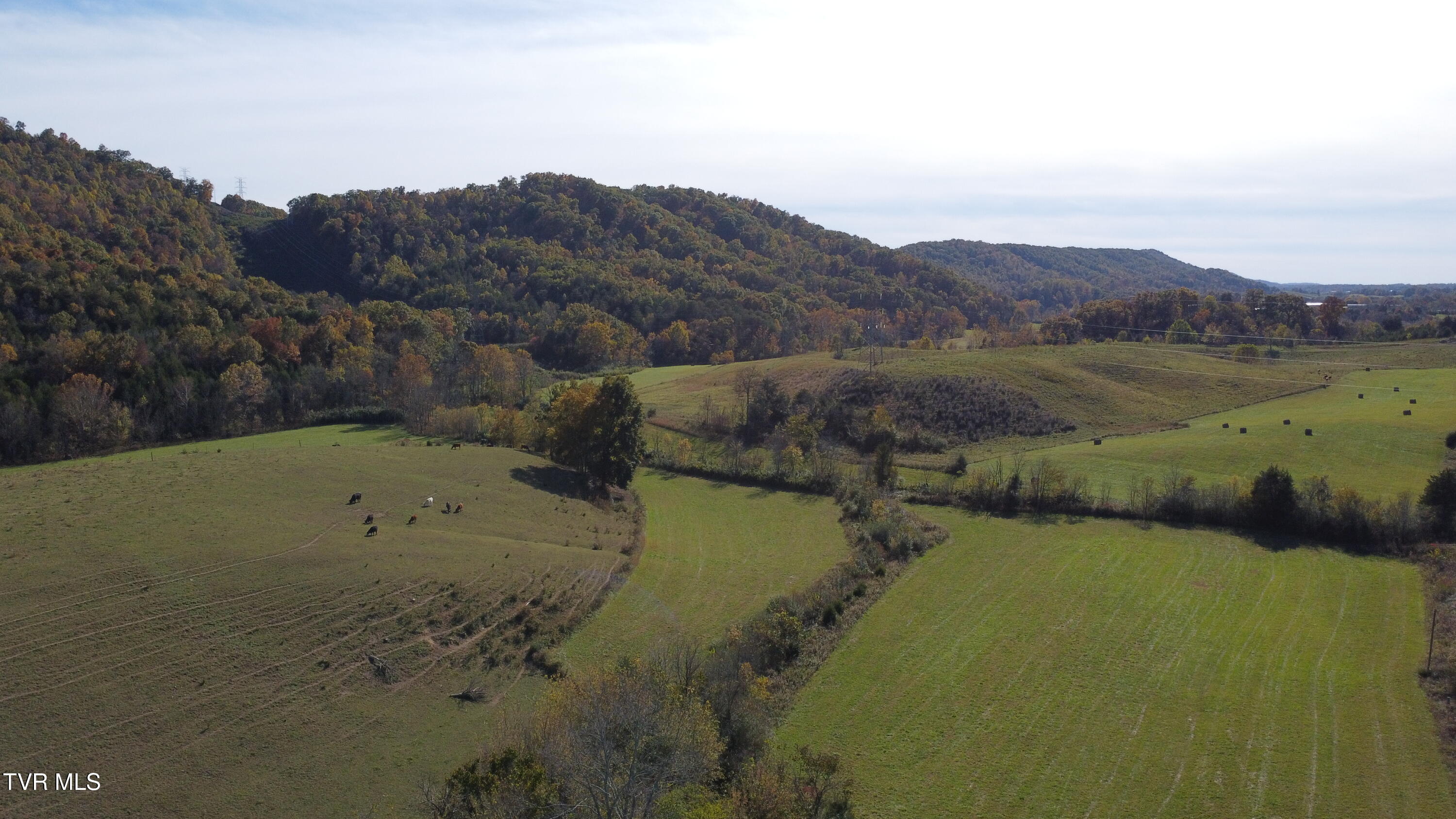 1183 Webster Valley Road Rogersville, TN 37857 - Photo 61 of 73 DJI_0322