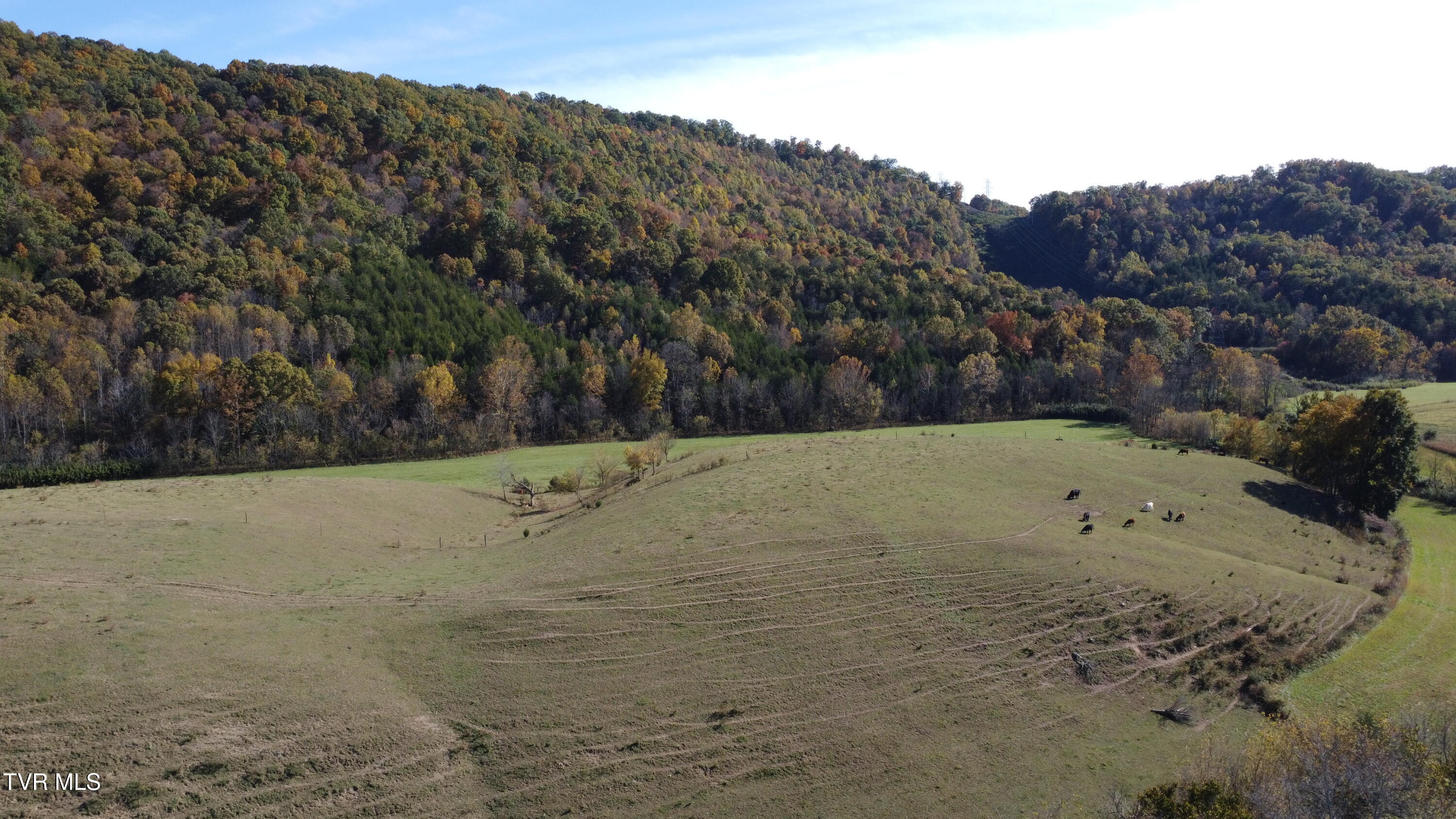 1183 Webster Valley Road Rogersville, TN 37857 - Photo 62 of 73 DJI_0323