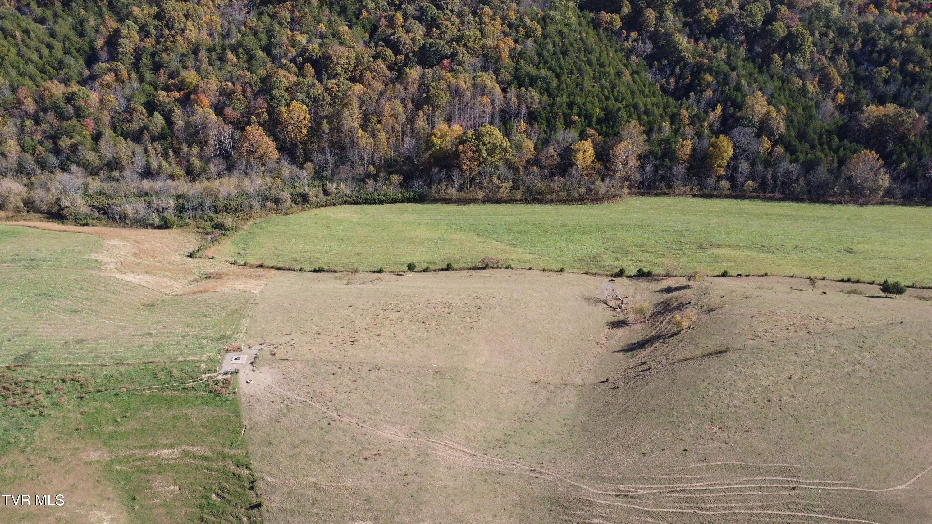 1183 Webster Valley Road Rogersville, TN 37857 - Photo 65 of 73 DJI_0326