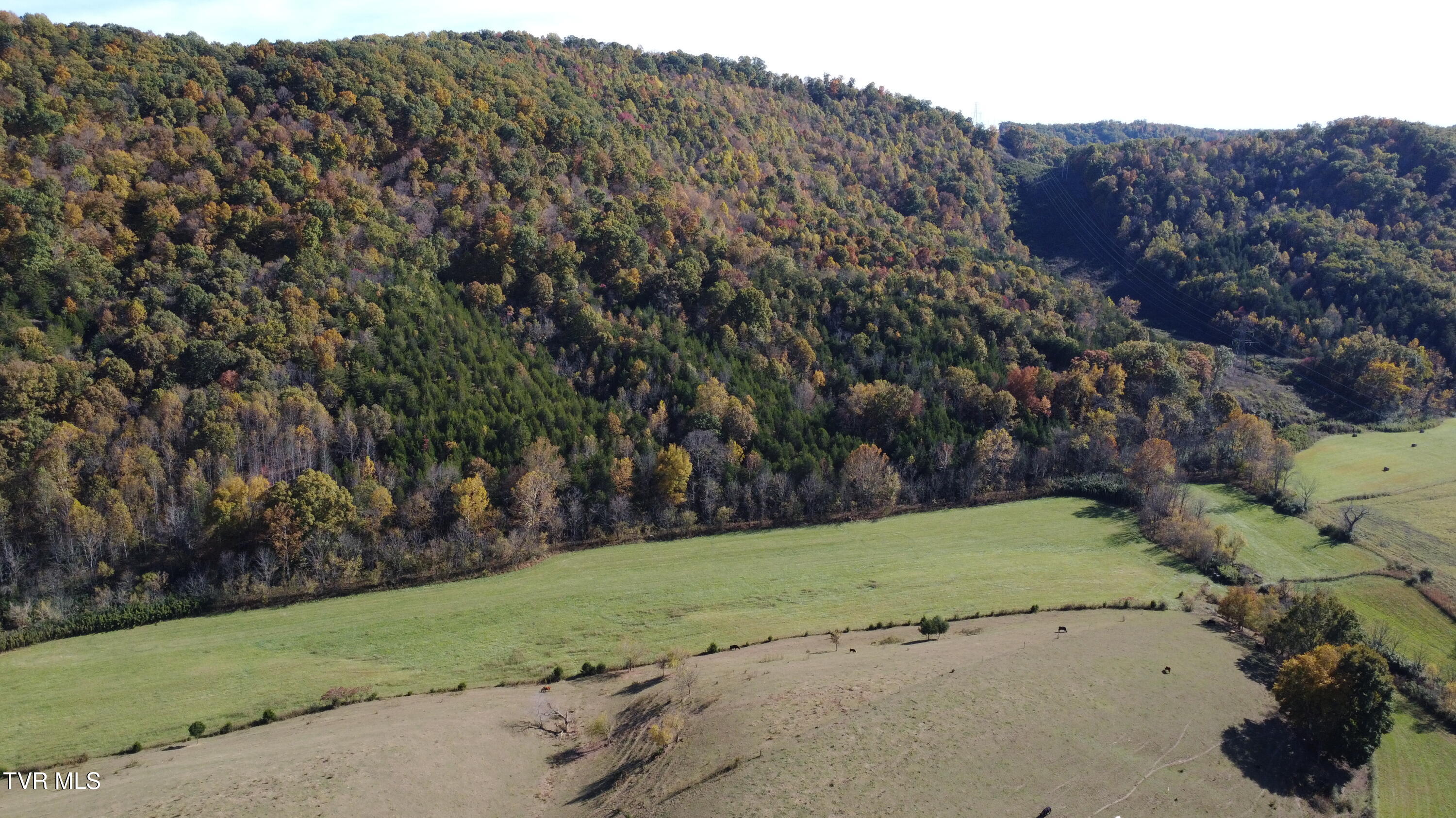 1183 Webster Valley Road Rogersville, TN 37857 - Photo 68 of 73 DJI_0329