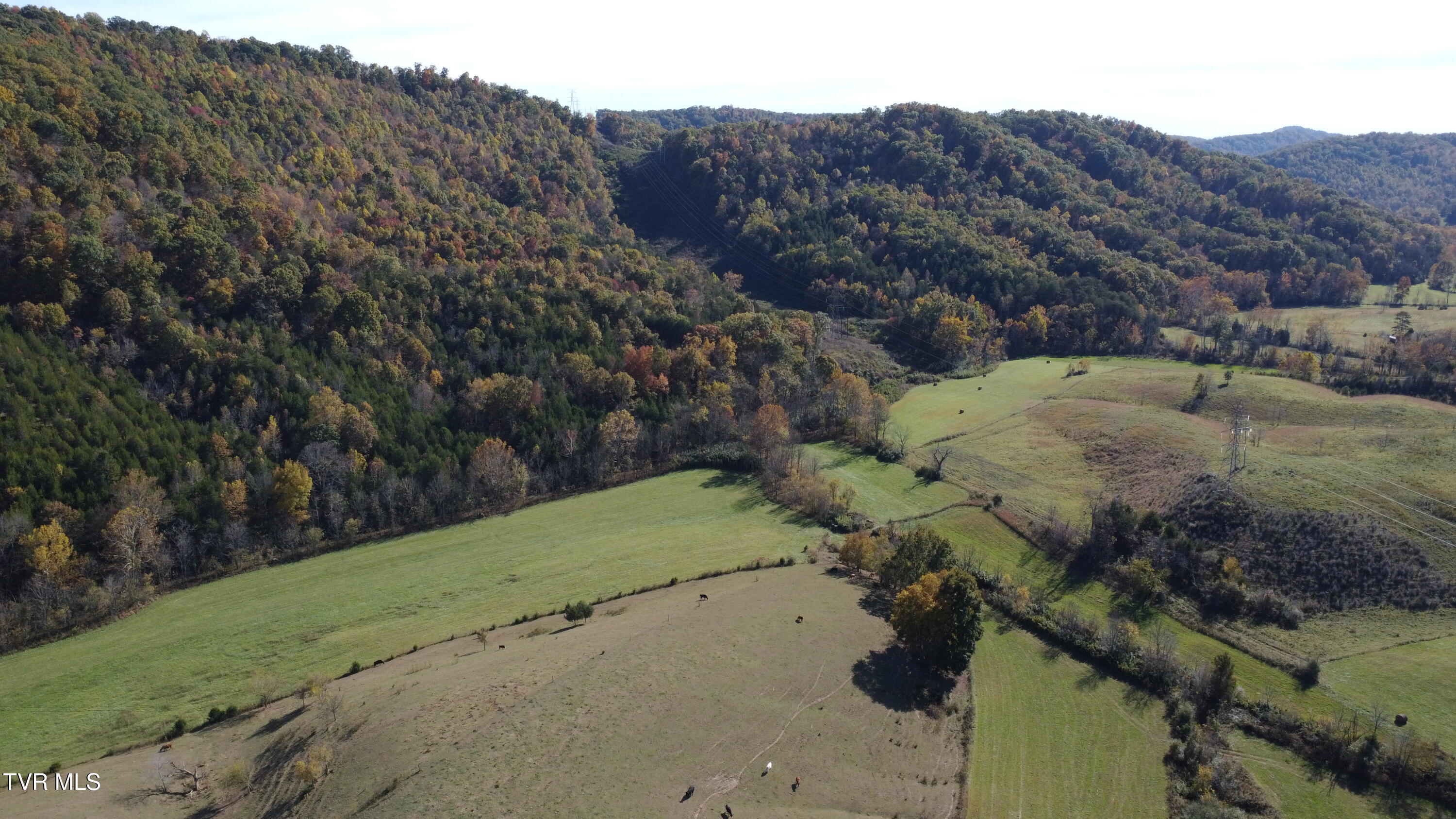 1183 Webster Valley Road Rogersville, TN 37857 - Photo 69 of 73 DJI_0330