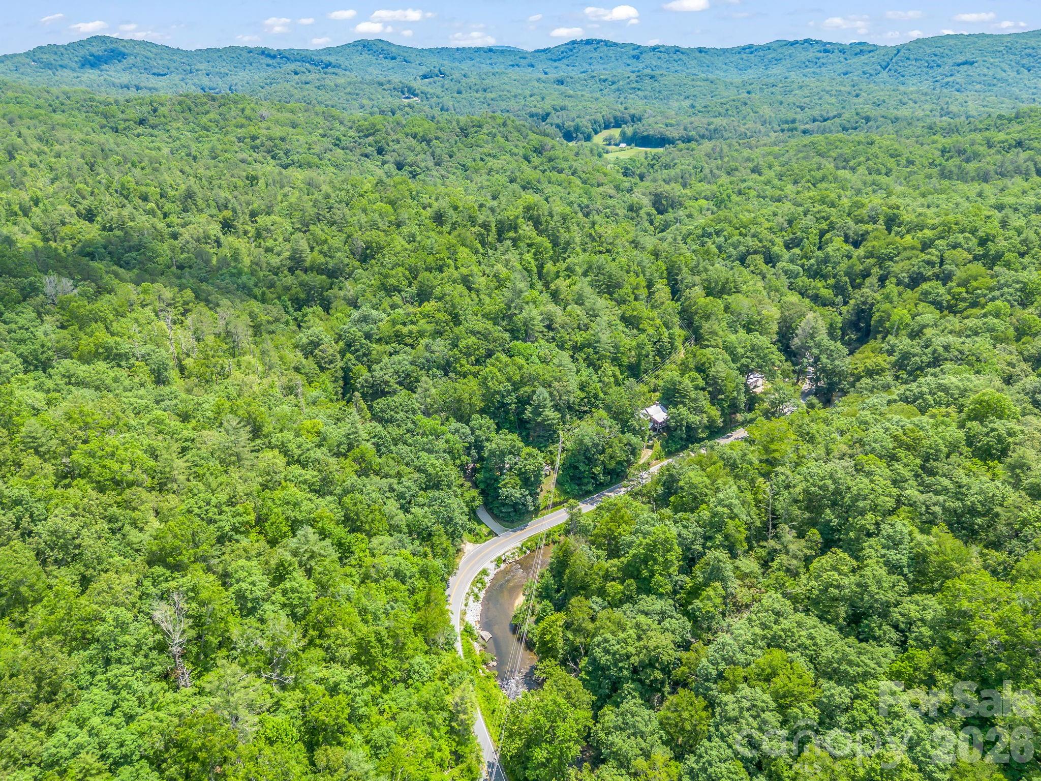 9390 East Fork Road Brevard, NC 28712 - Photo 12 of 14