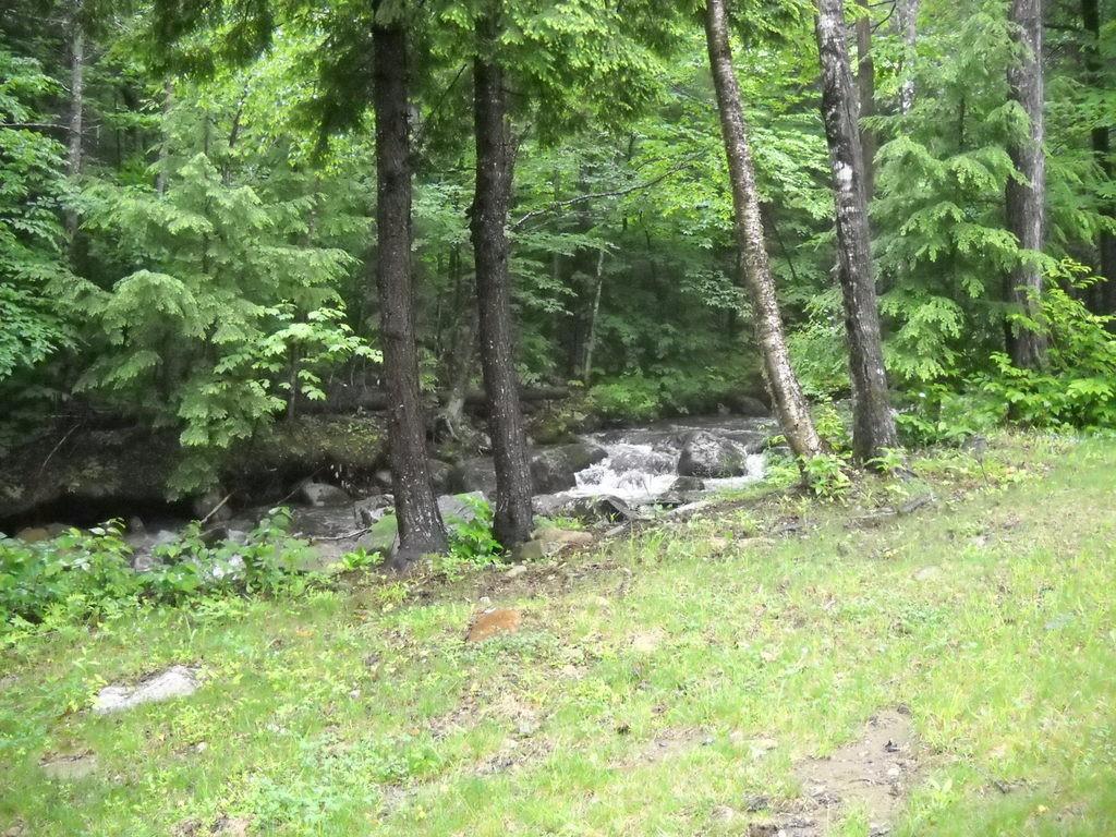15 Pope Mountain Road Avon, ME 04966 - Photo 5 of 10 Photo
