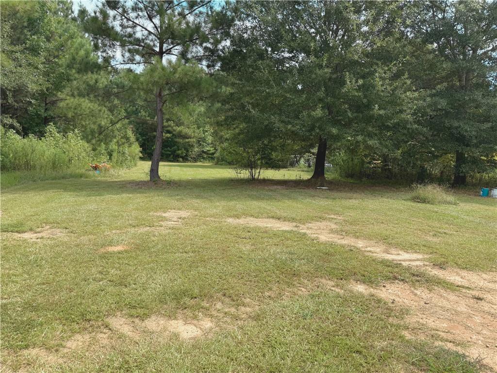 333 Ike Williams Road Gay, GA 30218 - Photo 8 of 10 a view of a lake view