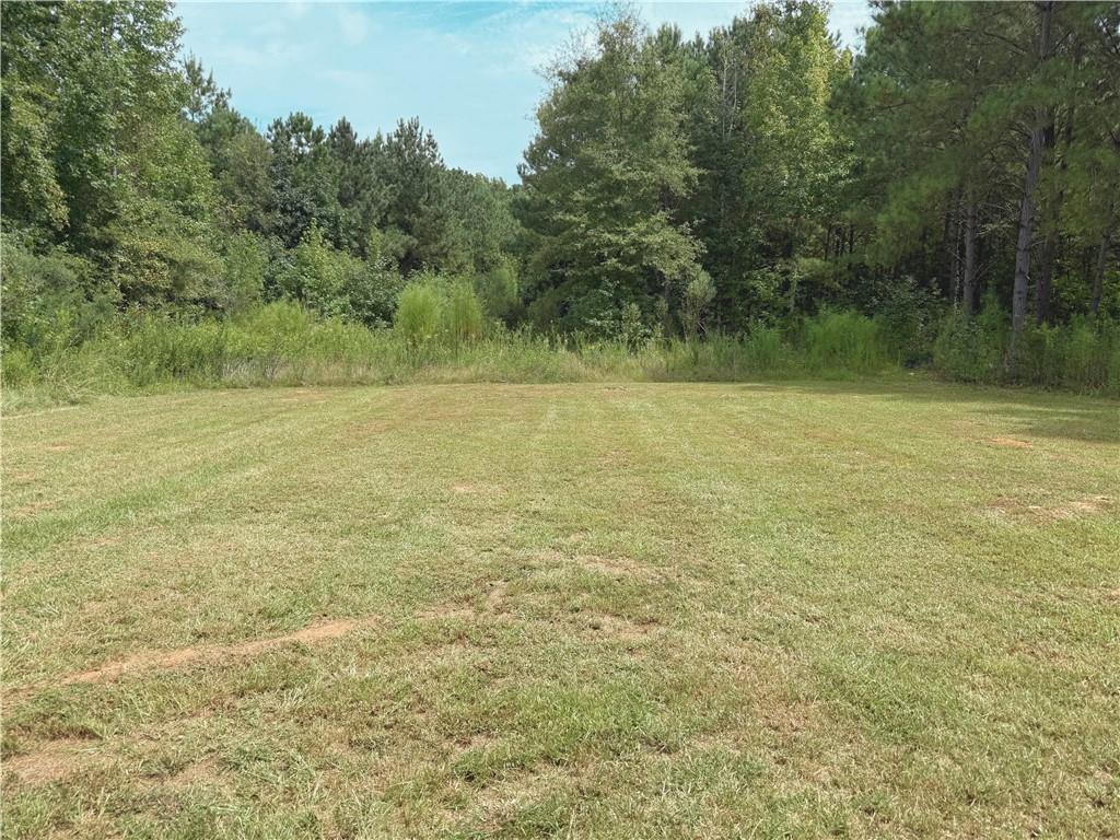 333 Ike Williams Road Gay, GA 30218 - Photo 9 of 10 a view of a field with trees in the background