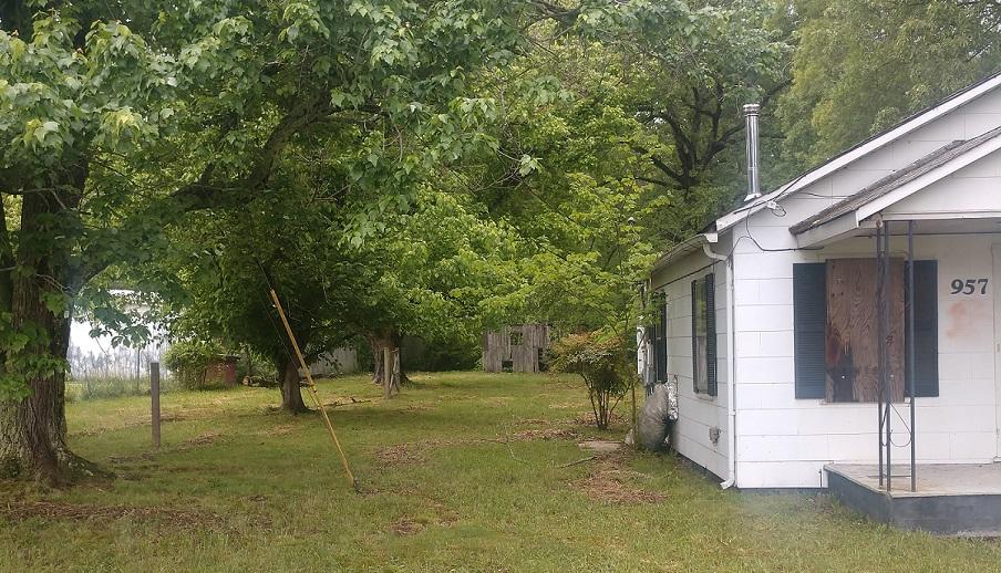 957 Leadmine Road White Pine, TN 37890 - Photo 2 of 4 Side Yard