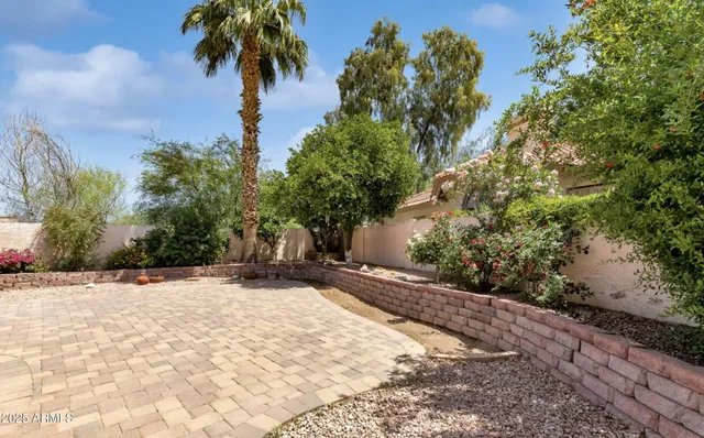 a view of a yard with a tree